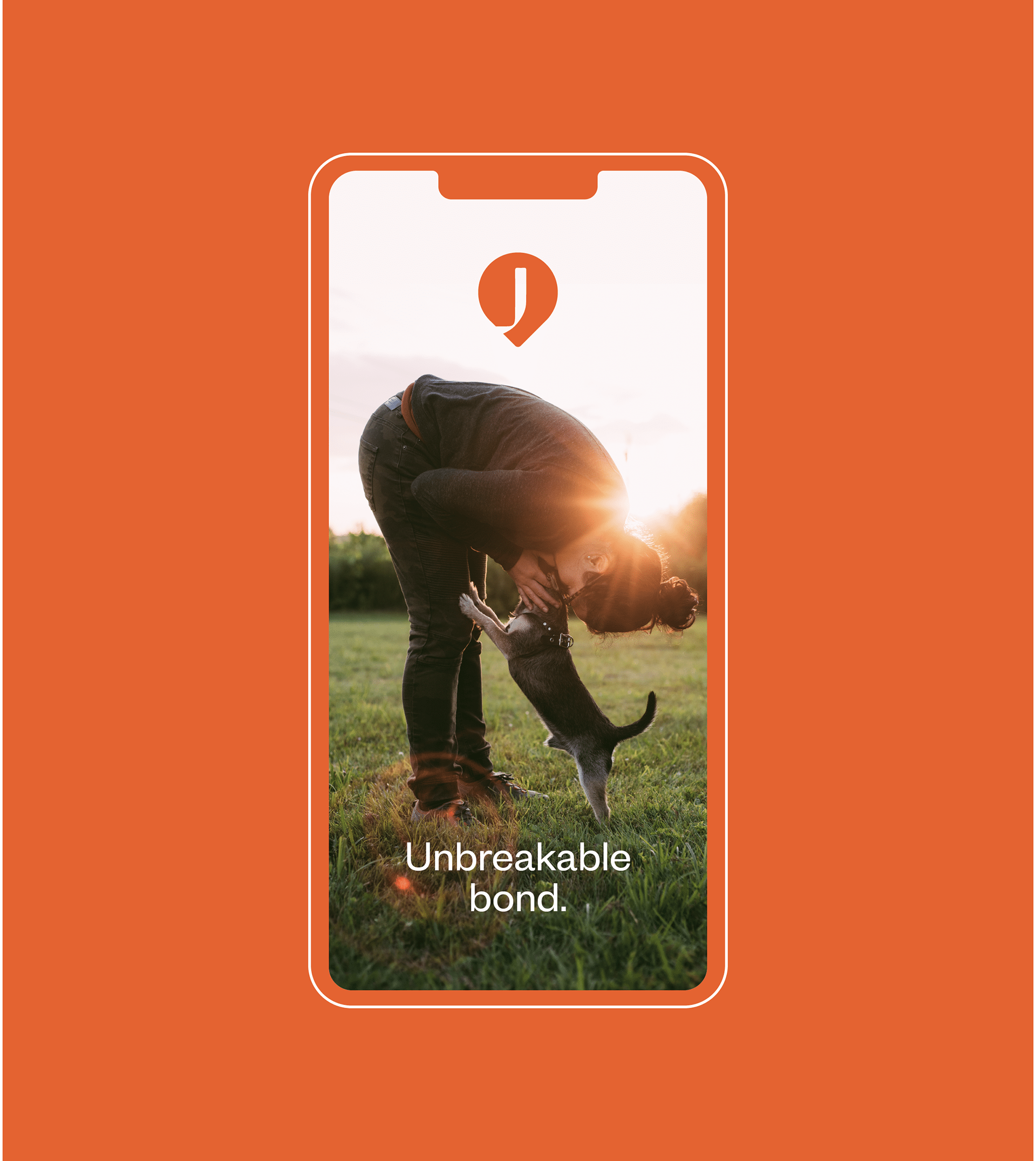 a collar for a horse，dog，Pets，intelligence，