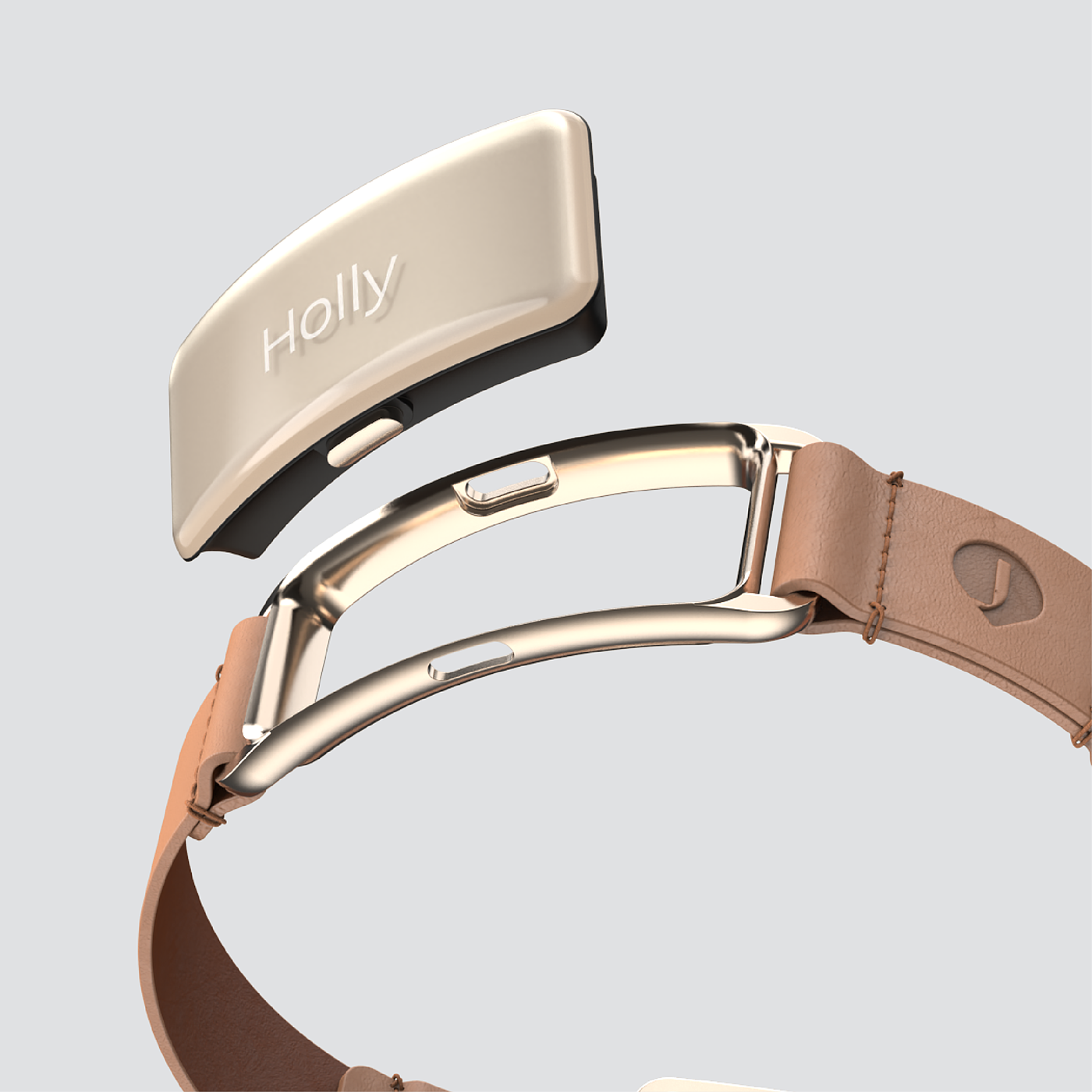 a collar for a horse，dog，Pets，intelligence，