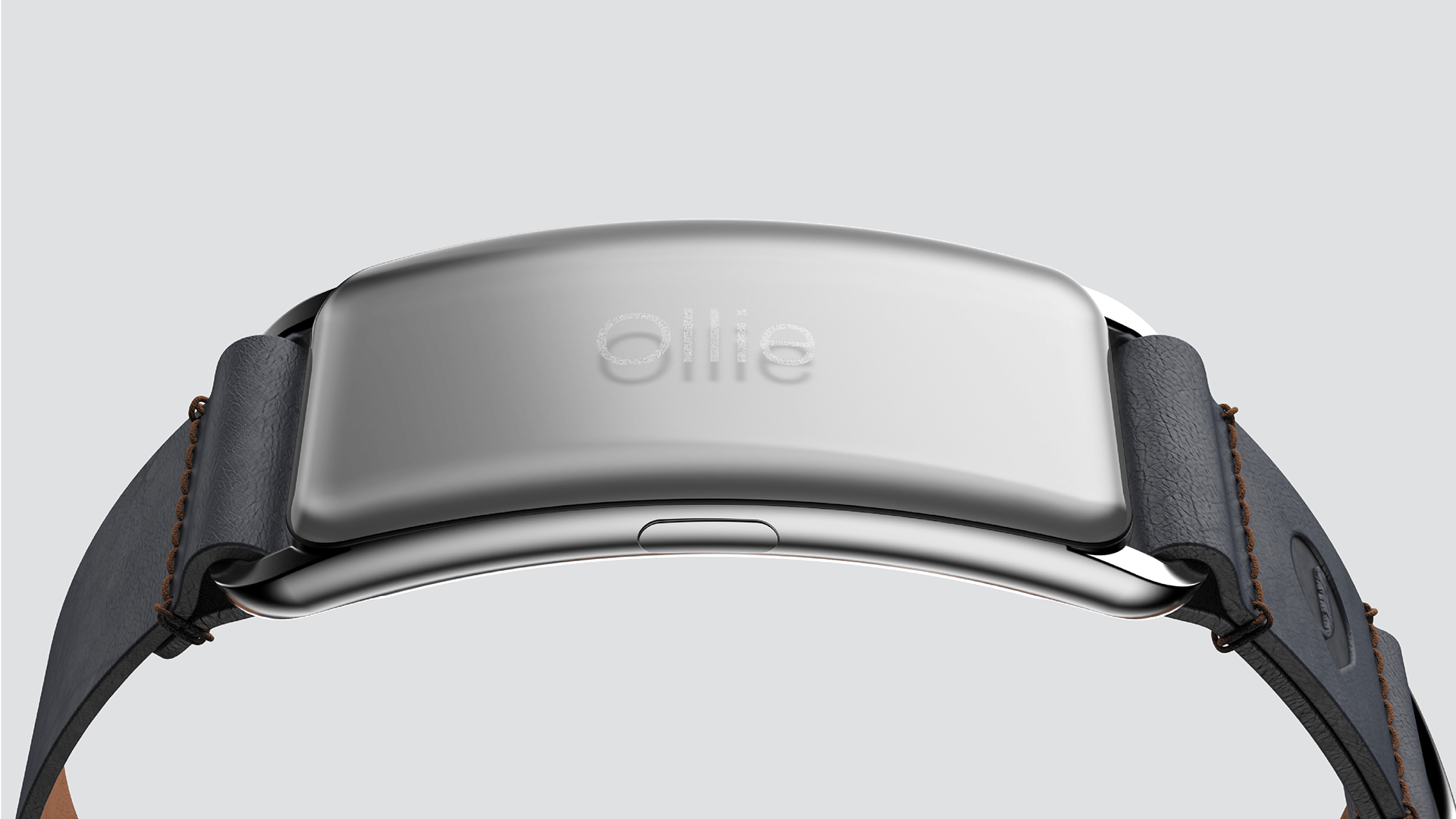 a collar for a horse，dog，Pets，intelligence，