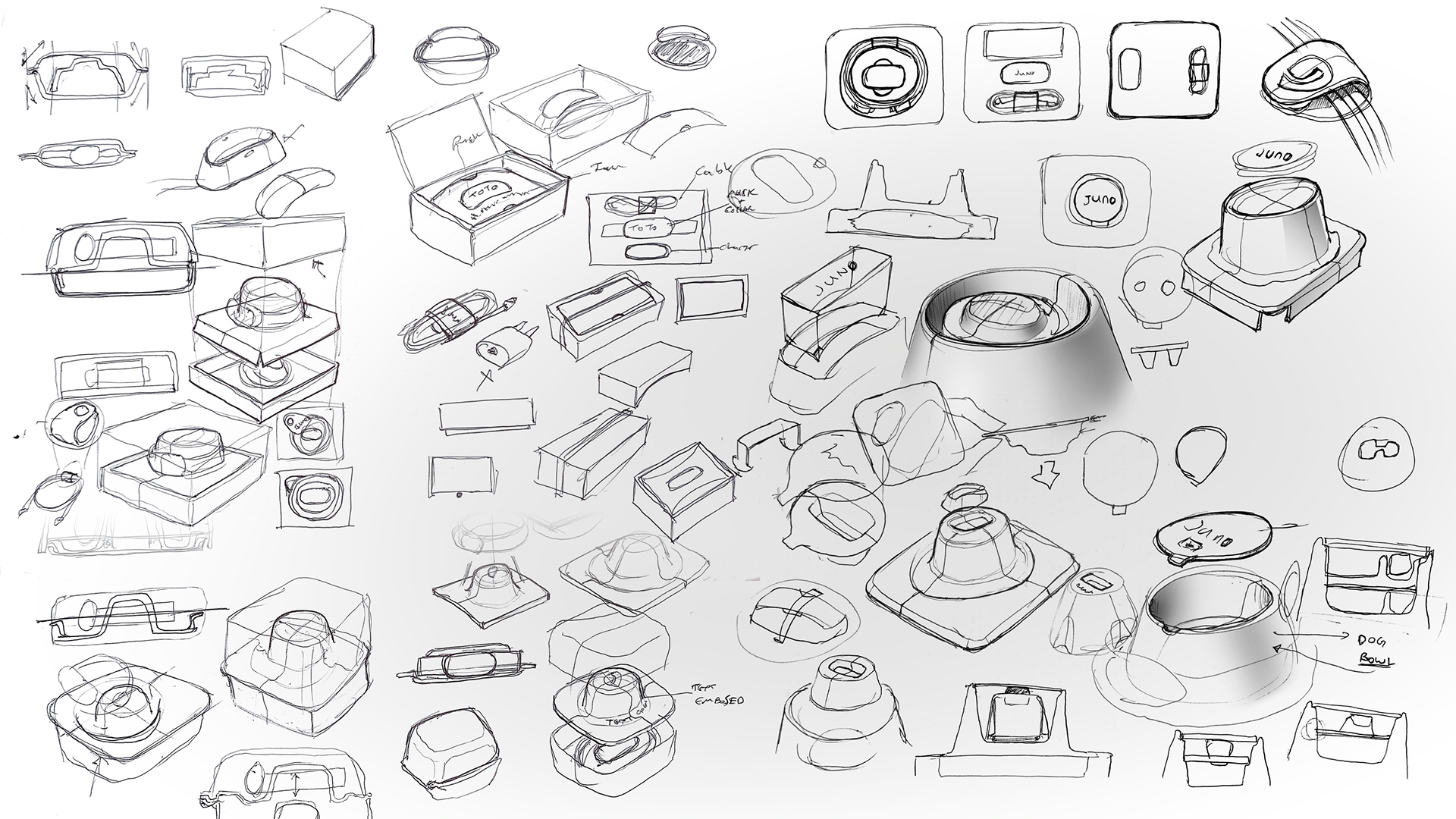 a collar for a horse，dog，Pets，intelligence，