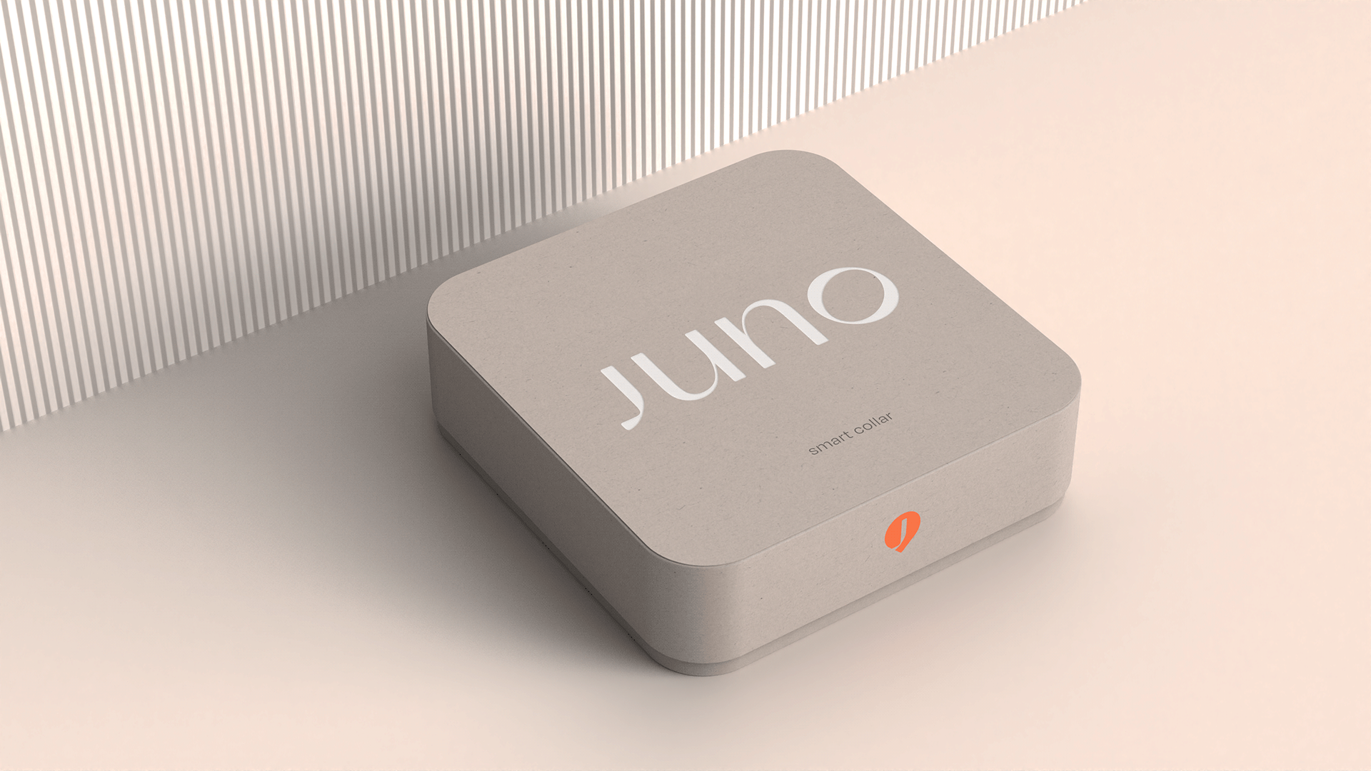 a collar for a horse，dog，Pets，intelligence，