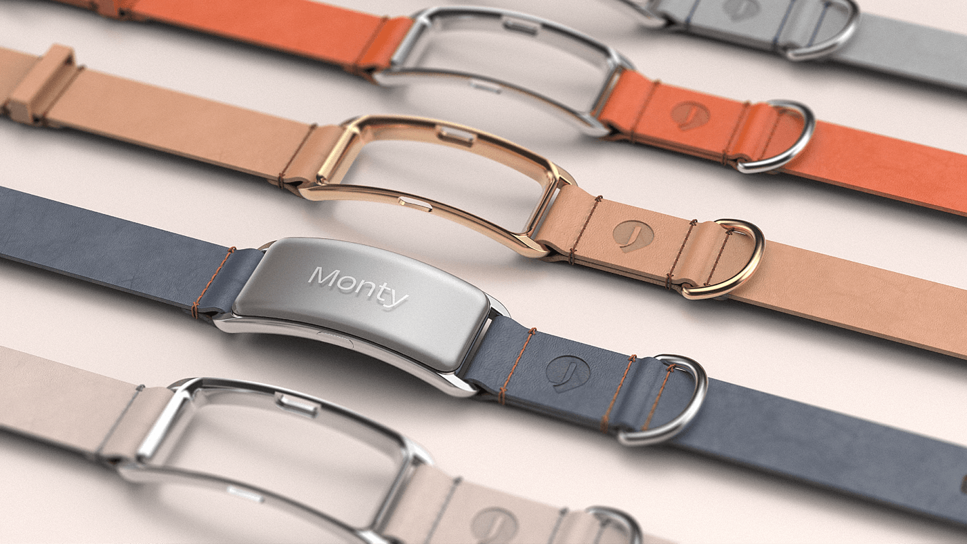 a collar for a horse，dog，Pets，intelligence，
