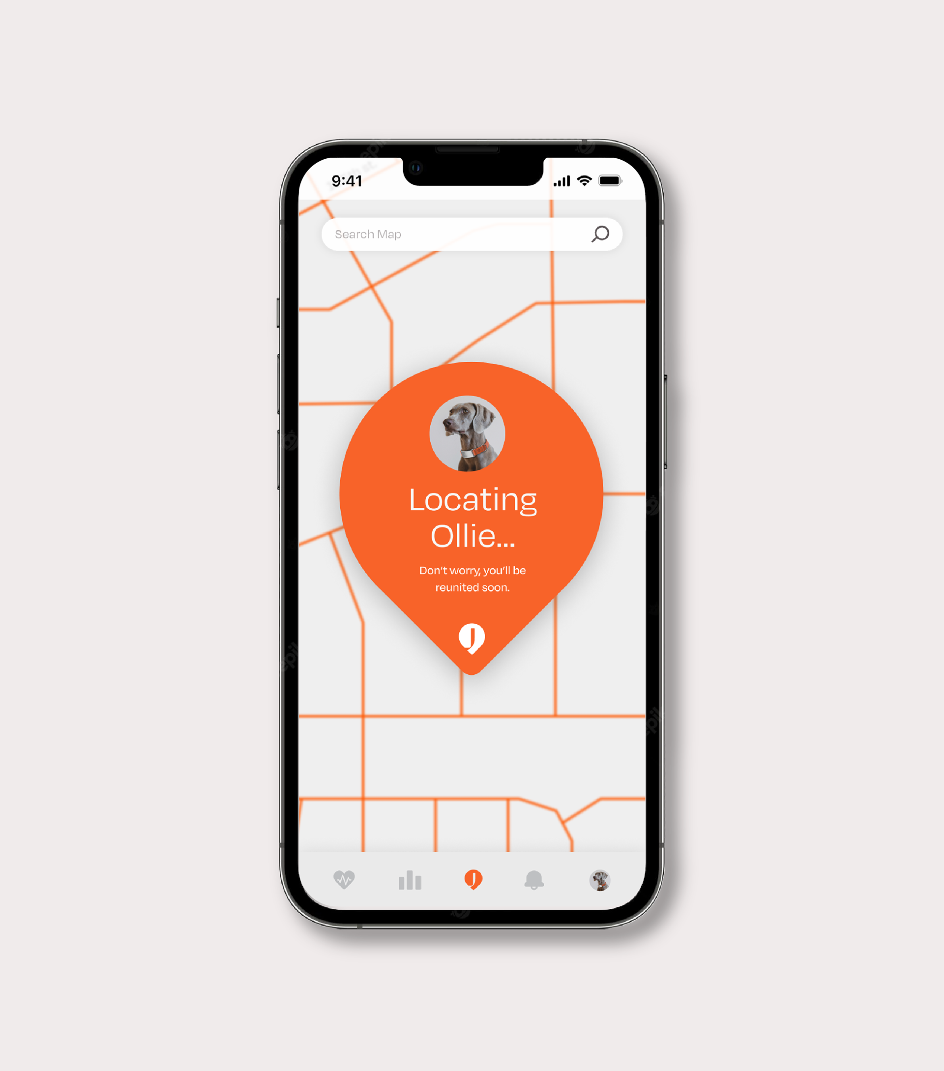 a collar for a horse，dog，Pets，intelligence，