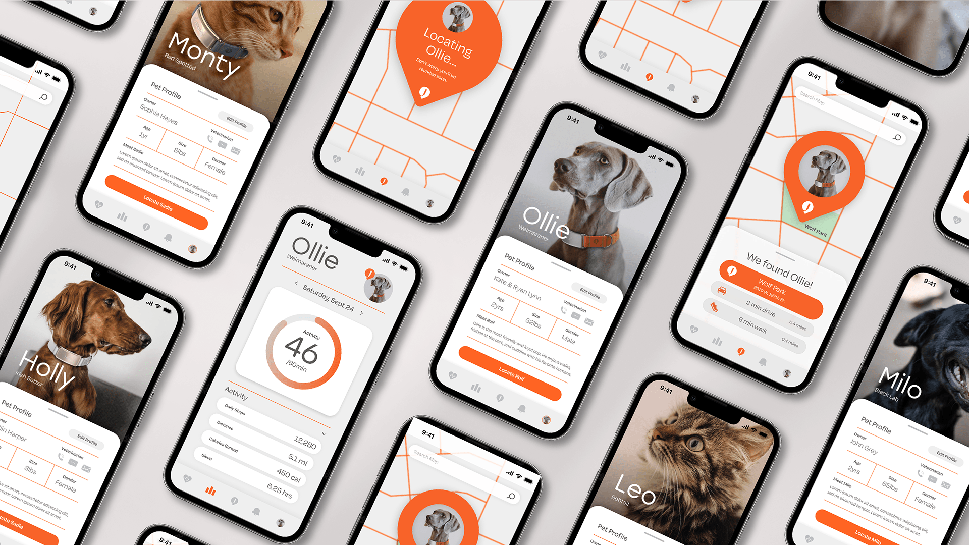 a collar for a horse，dog，Pets，intelligence，