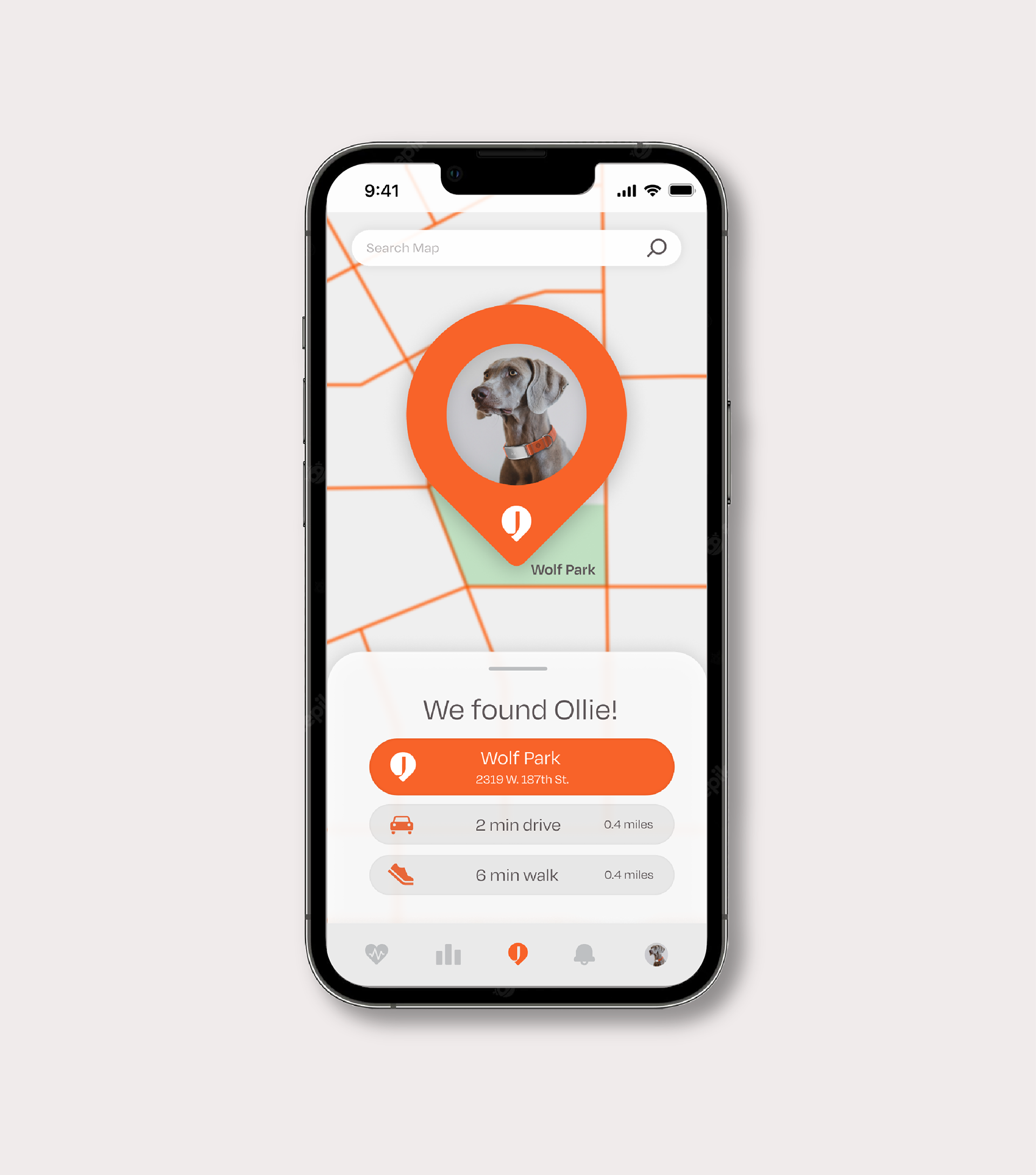 a collar for a horse，dog，Pets，intelligence，