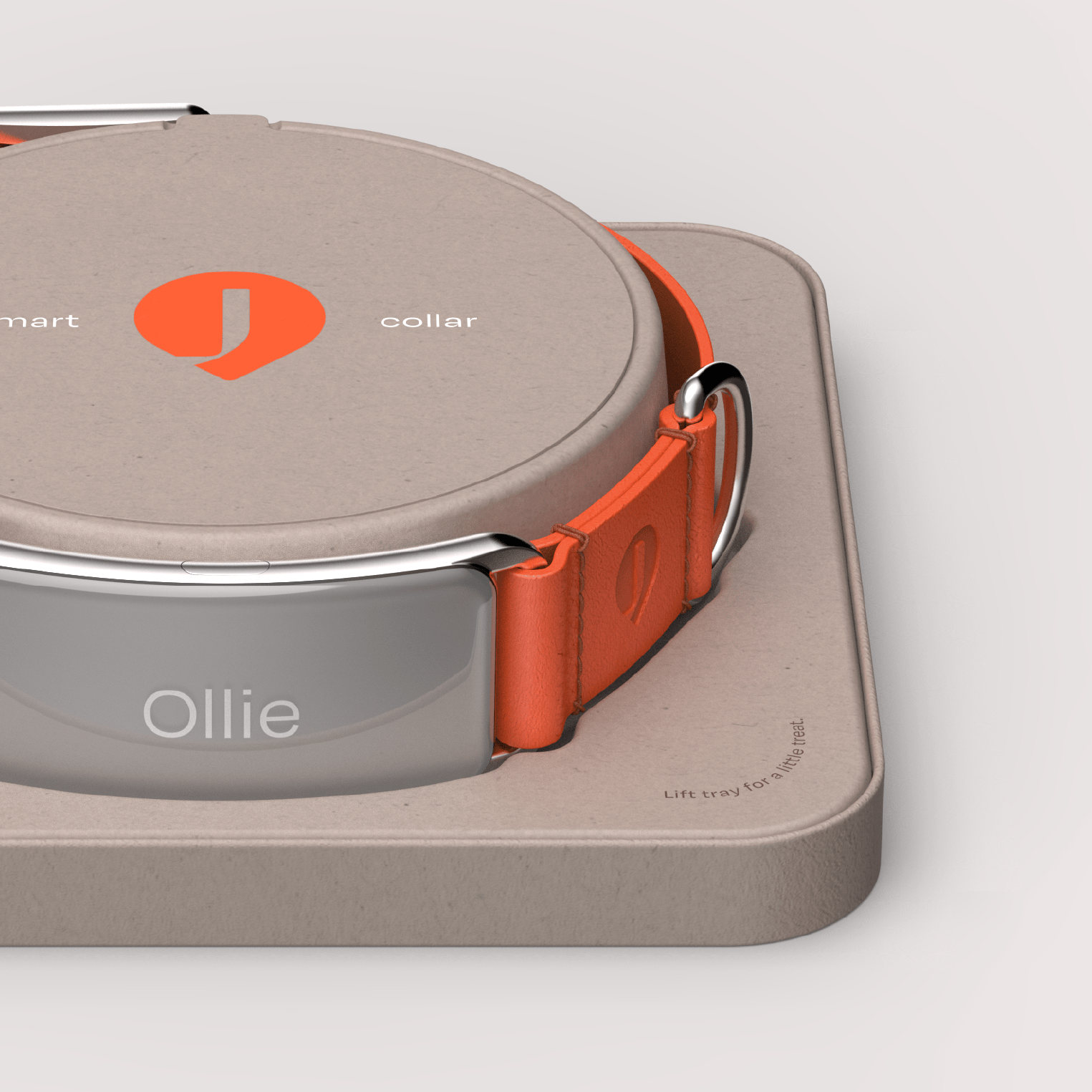 a collar for a horse，dog，Pets，intelligence，