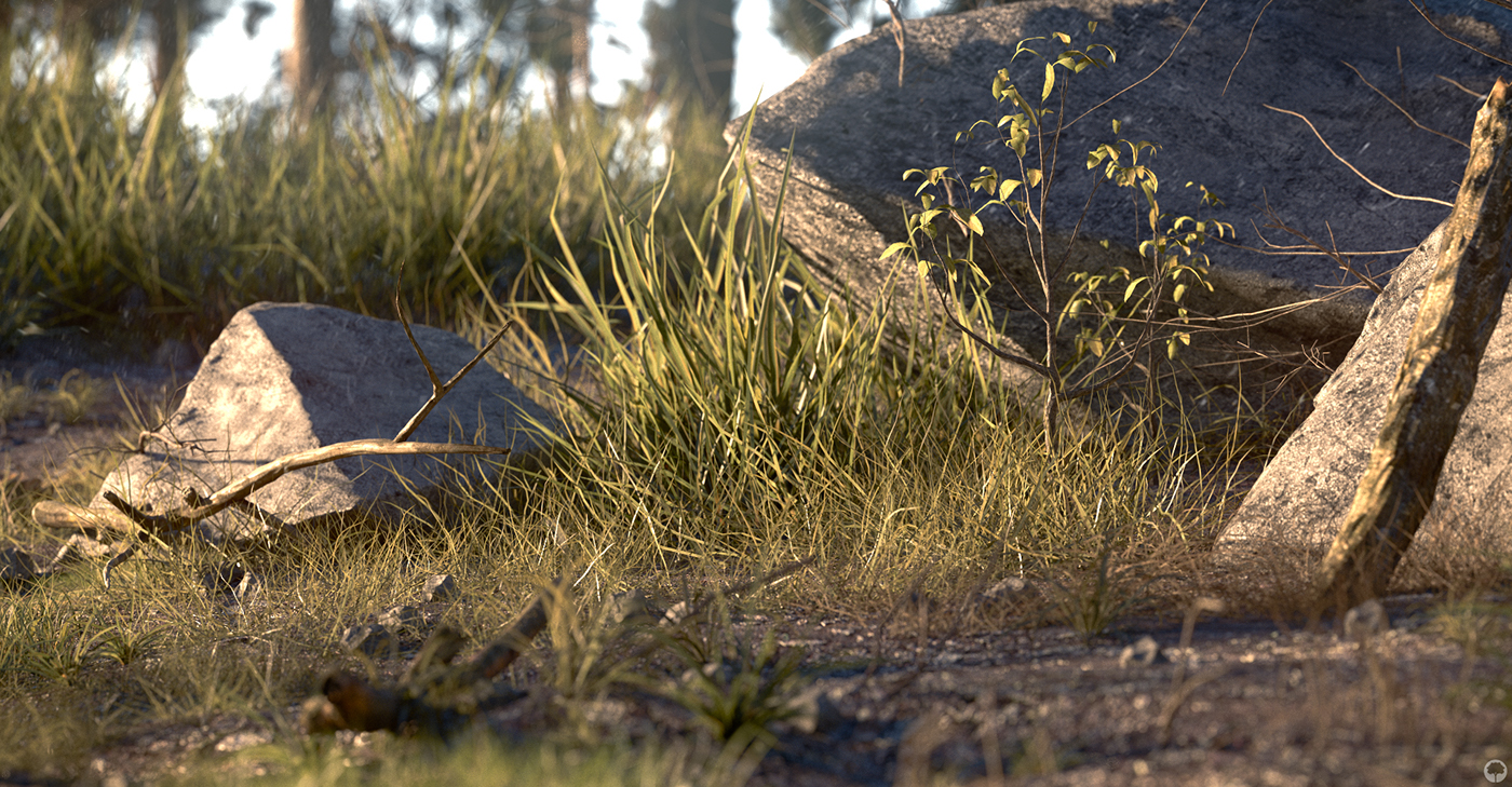 Bicycle，outdoors，Travel，Scott，Scott，