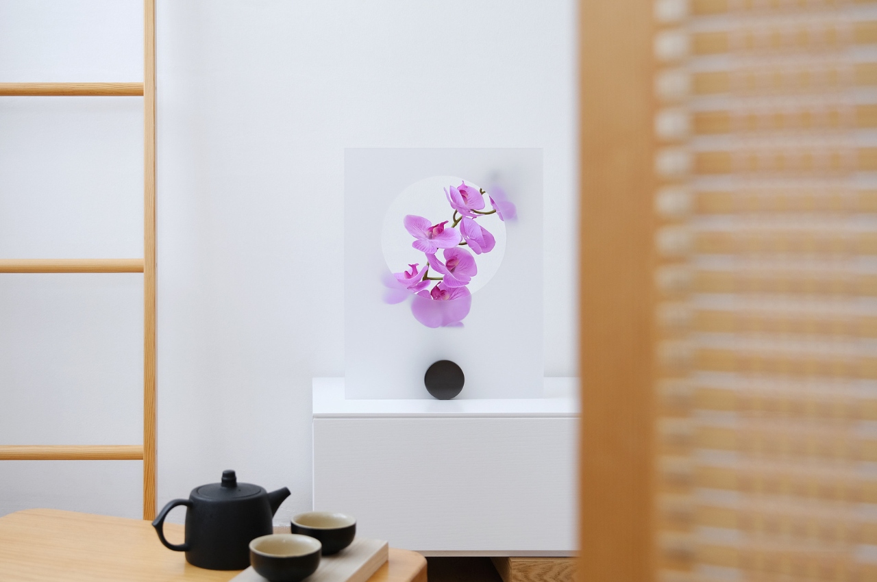 flowers and plants，Artwork，decorate，vase，