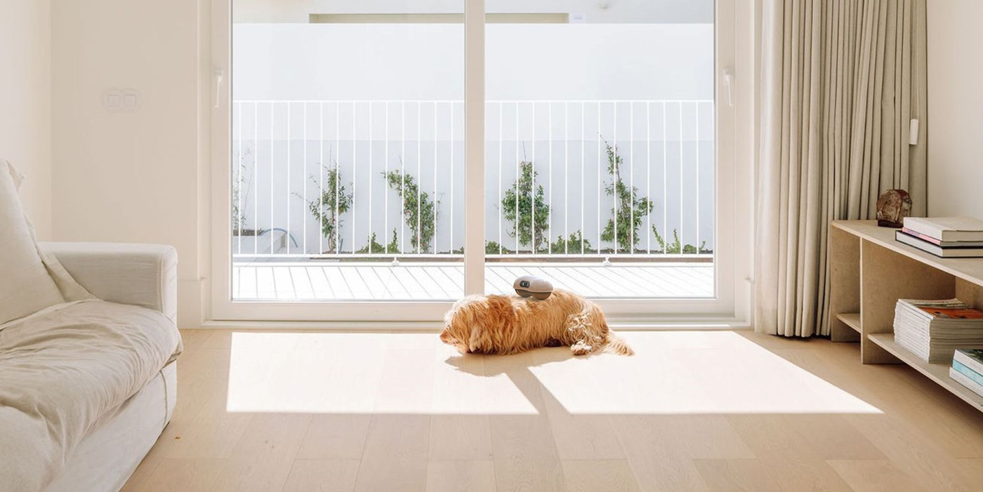 hair，clean，robot，intelligence，