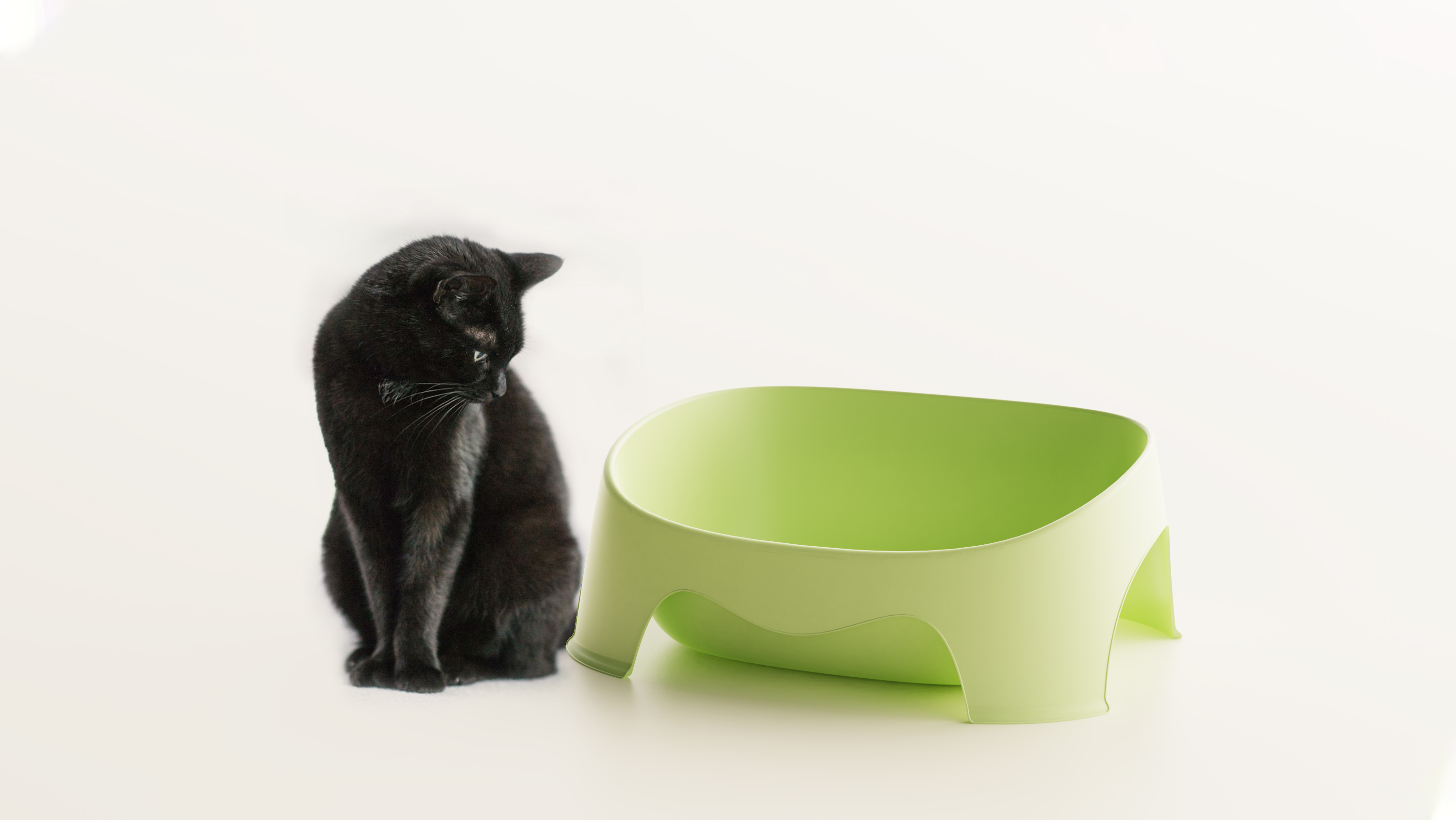 Cat litter box，