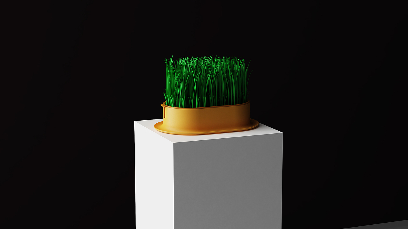 Cat grass，Hydroponic culture，Pet Supplies & Pet，