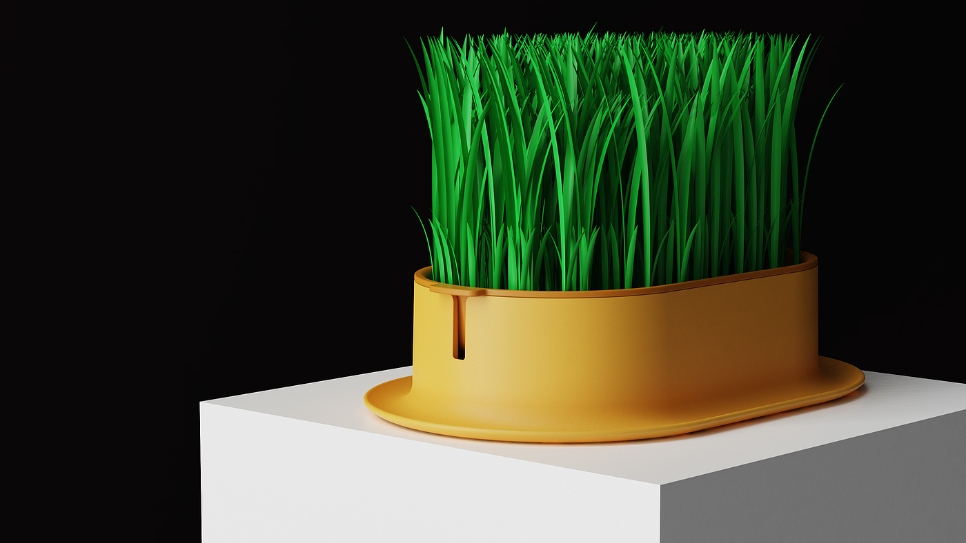 Cat grass，Hydroponic culture，Pet Supplies & Pet，