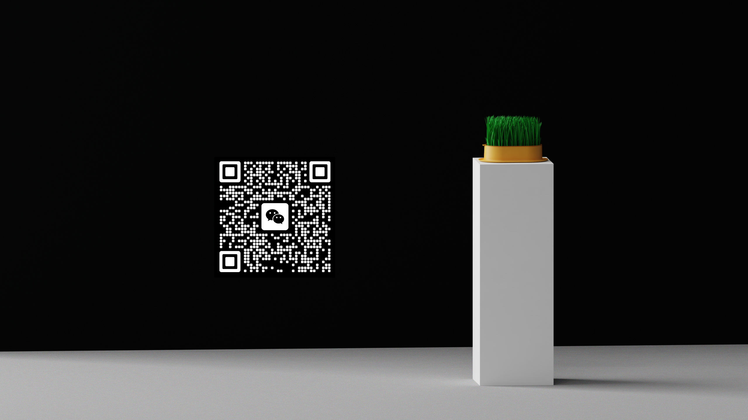 Cat grass，Hydroponic culture，Pet Supplies & Pet，