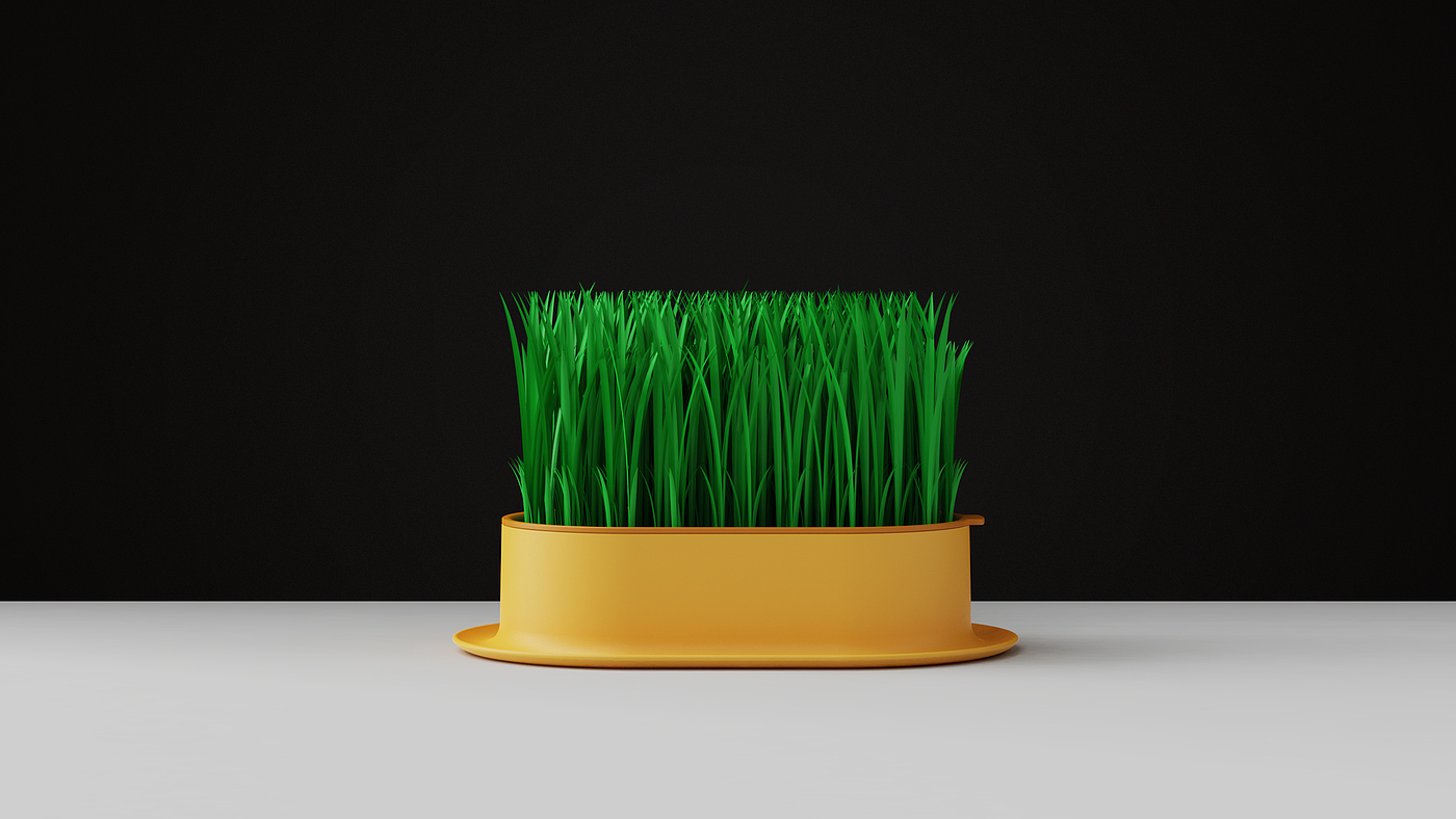 Cat grass，Hydroponic culture，Pet Supplies & Pet，