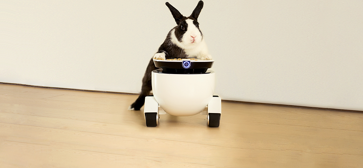 Intelligent Internet of Things，Companion robot，