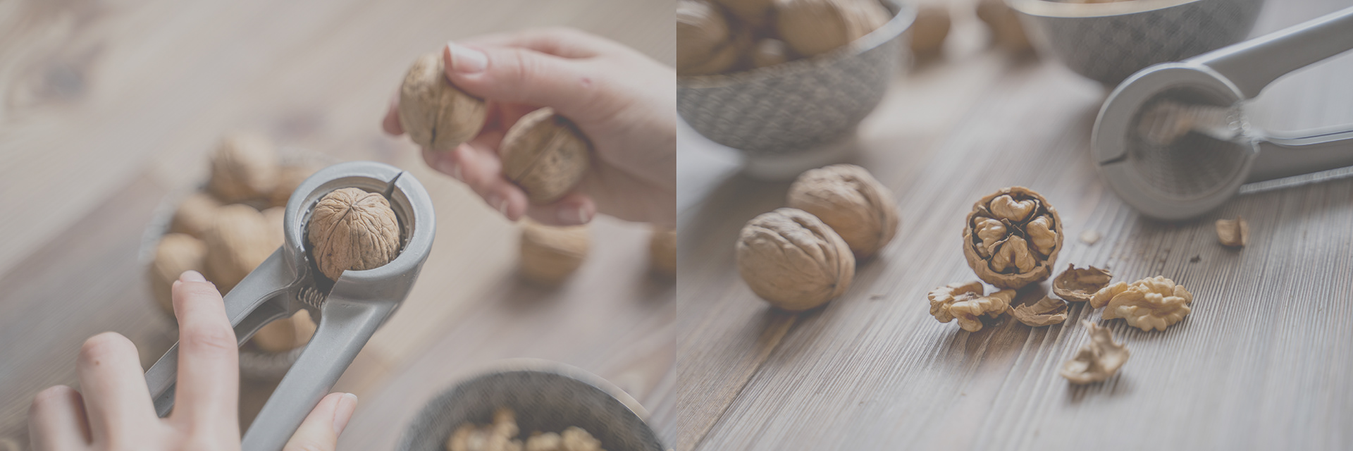 tableware，environment protection，Sustainable Tableware，