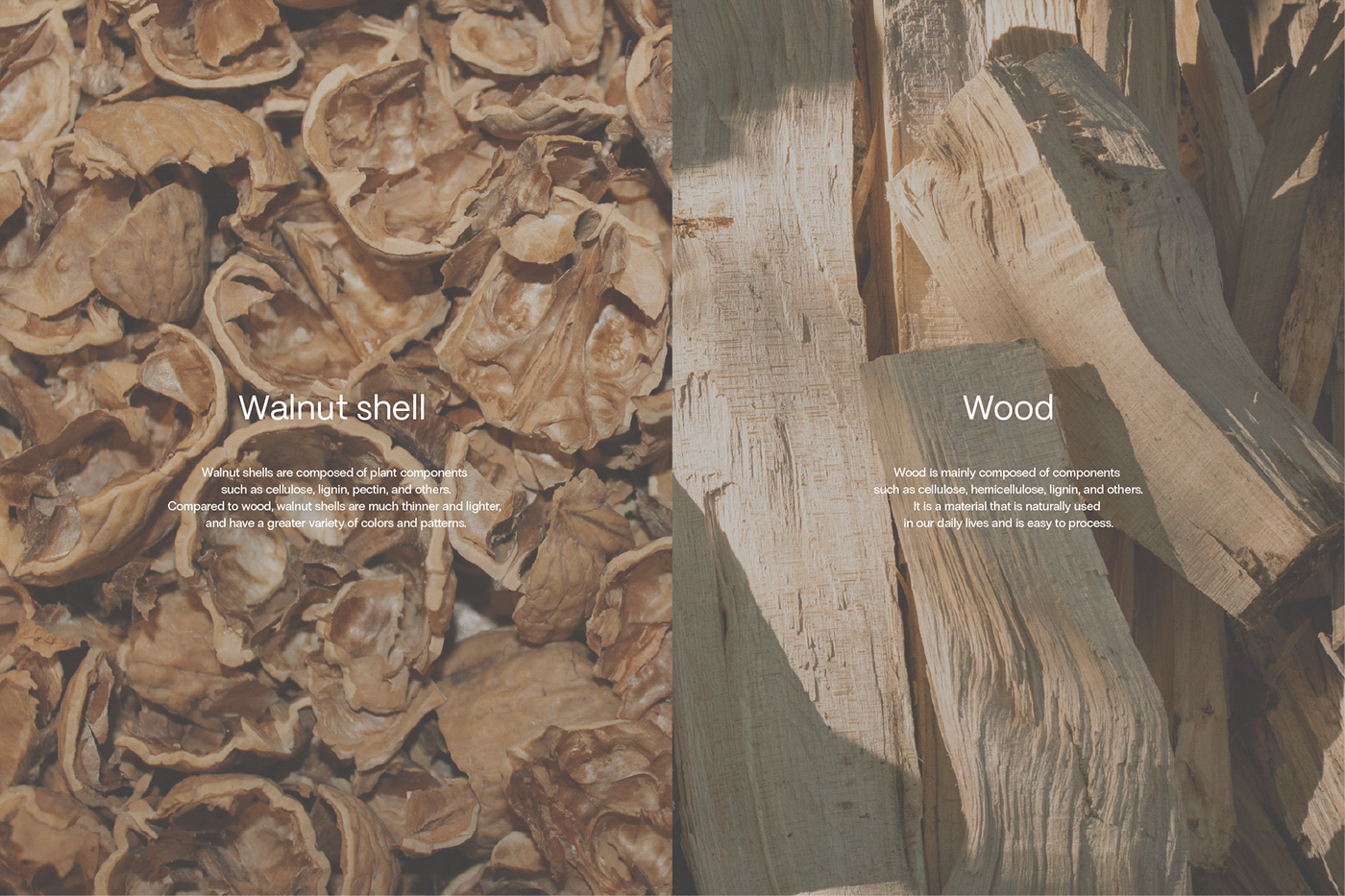 tableware，environment protection，Sustainable Tableware，