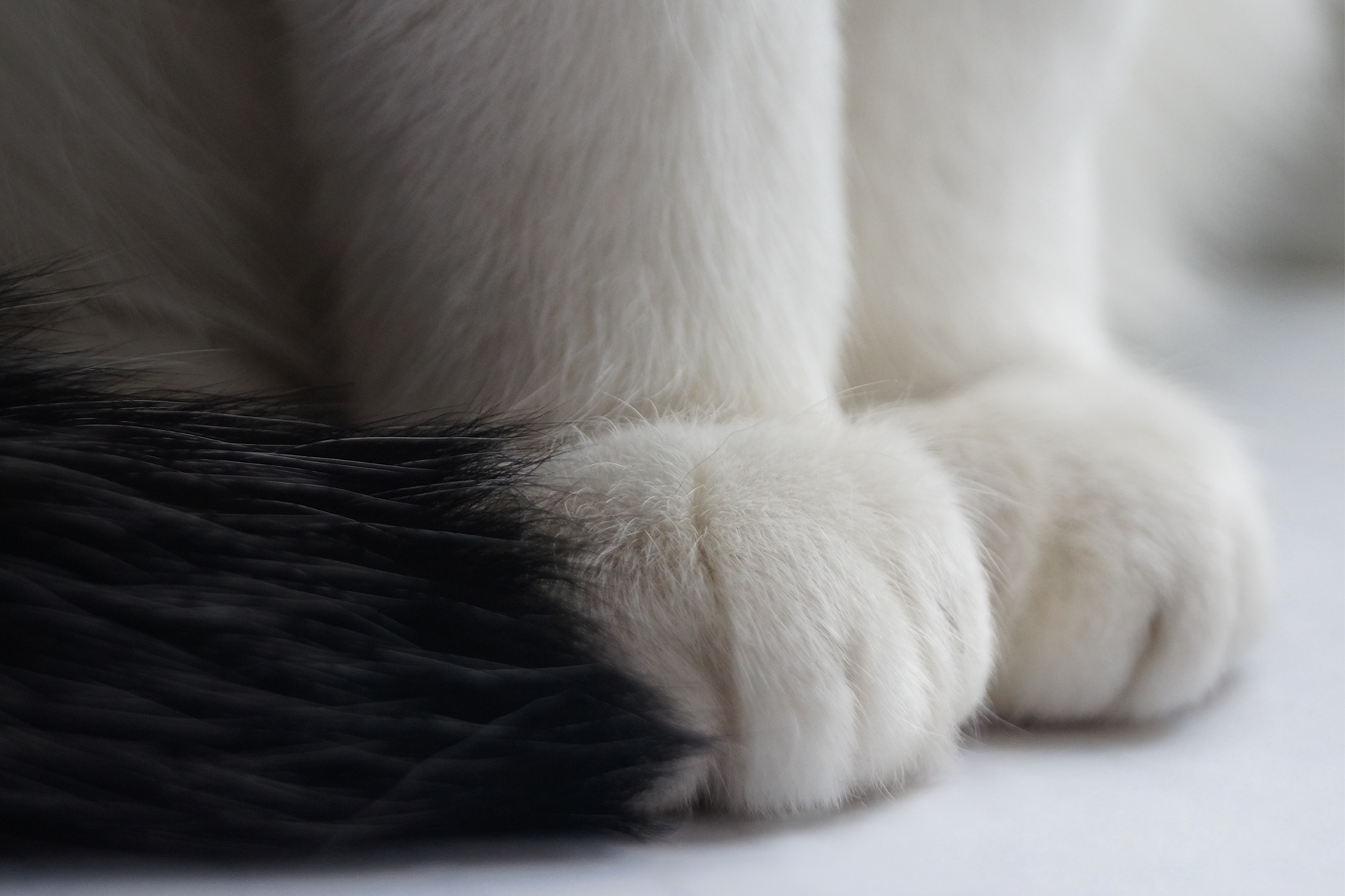 Tickle，product design，tool，Traditional art，relax，