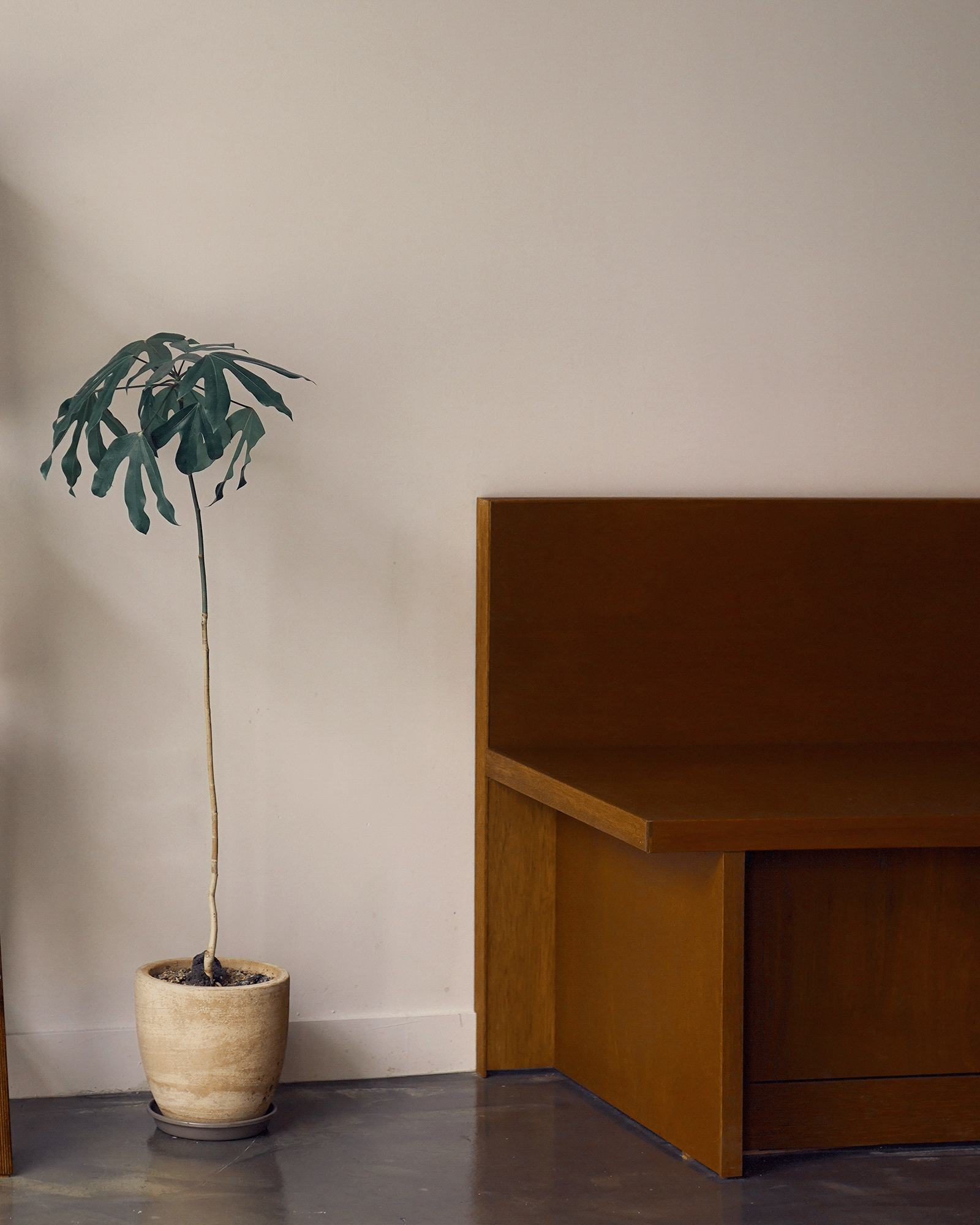 Interior design，Home design，industrial design，