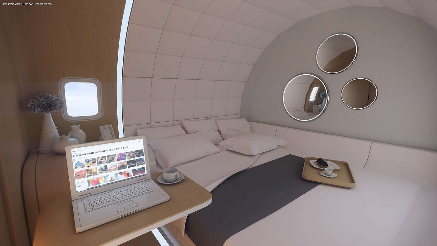 Private aircraft，Interior design，vehicle，aircraft，