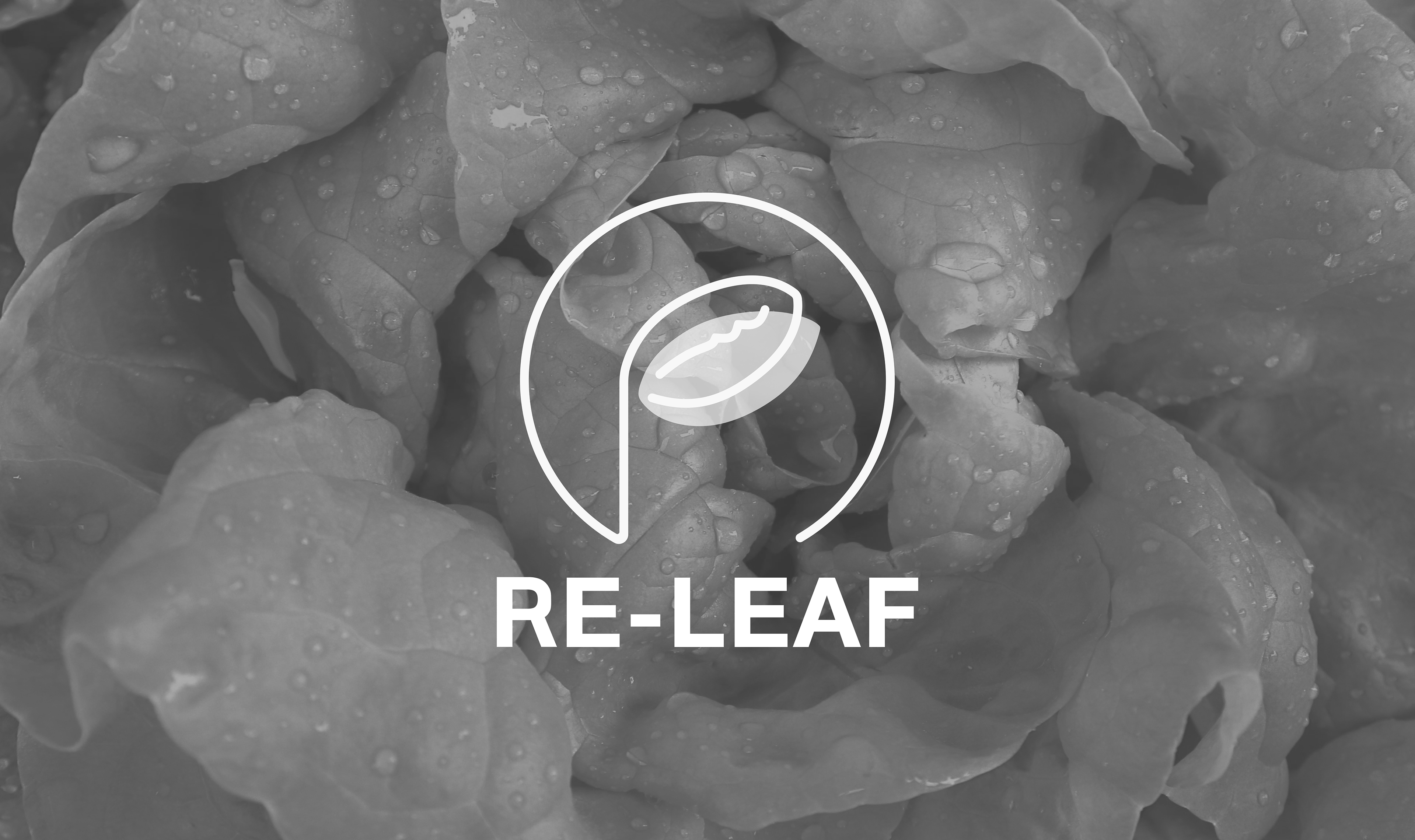 RE-LEAF，Gardening tools，product design，industrial design，
