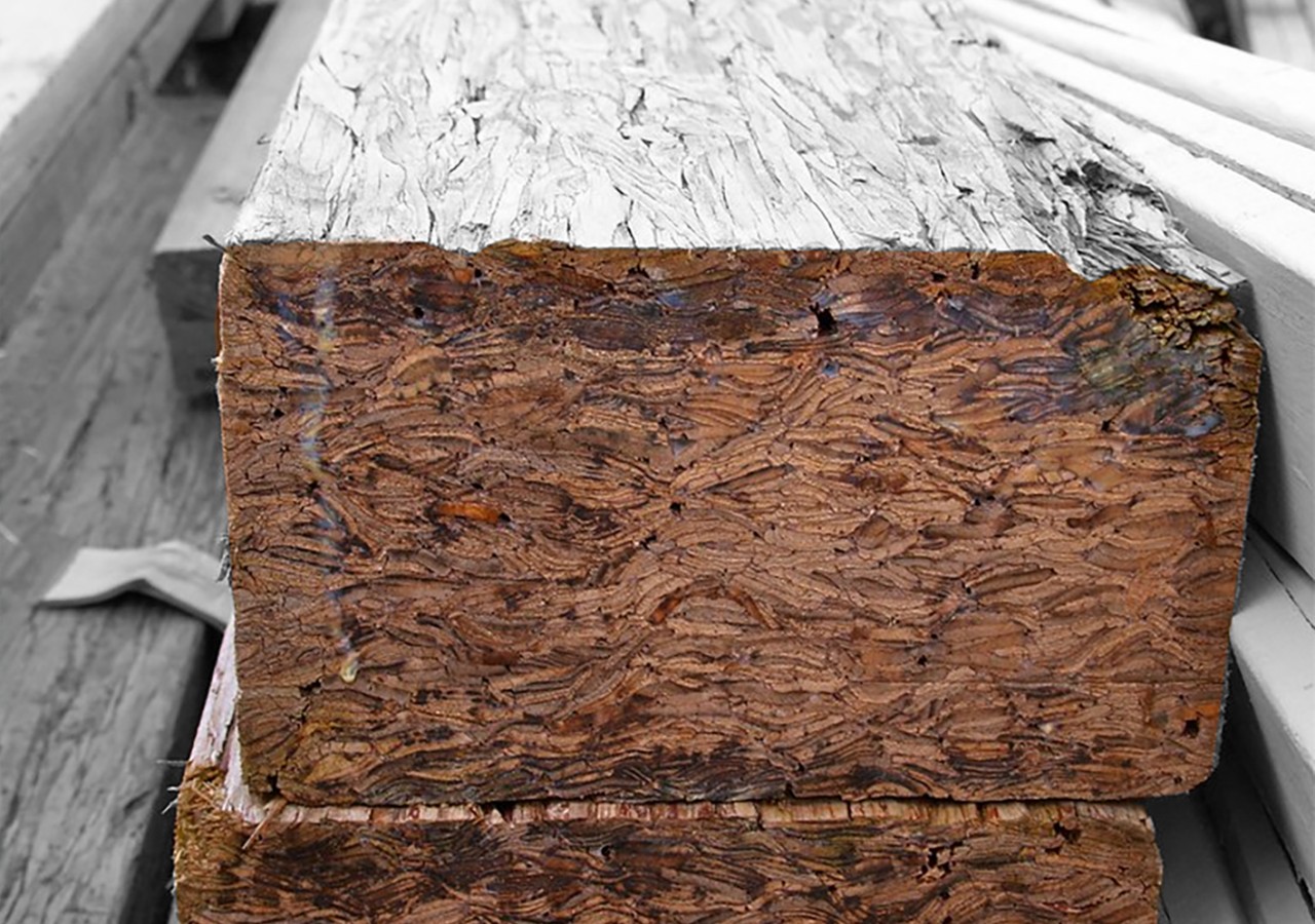 Primitive Structures，Table，furniture，originality，