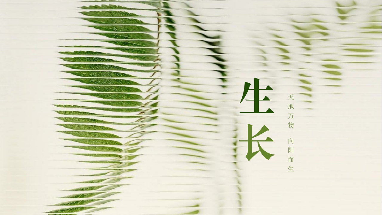 # Tableware，# plate，# Four-piece，# Kitchen utensils，# Growth，