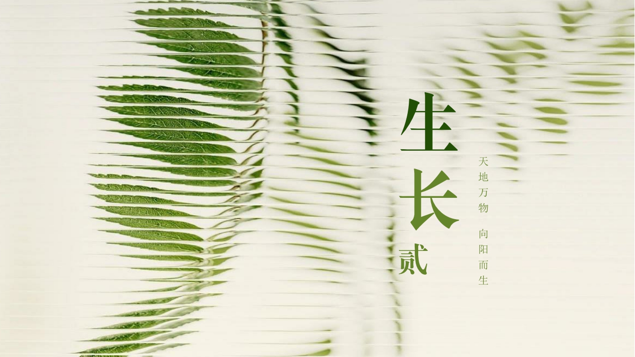 # Tableware，# plate，# Four-piece，# Kitchen utensils，# Growth，