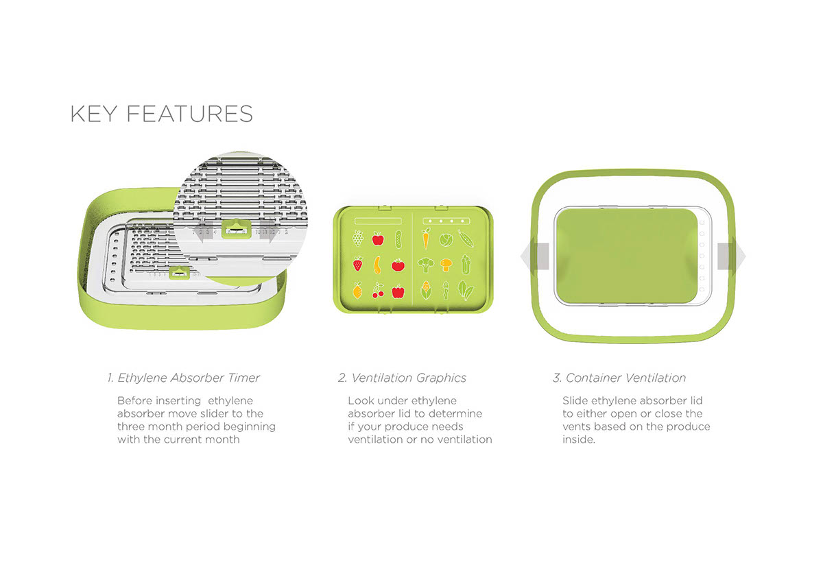 container，food basket，Fruits，Vegetables，