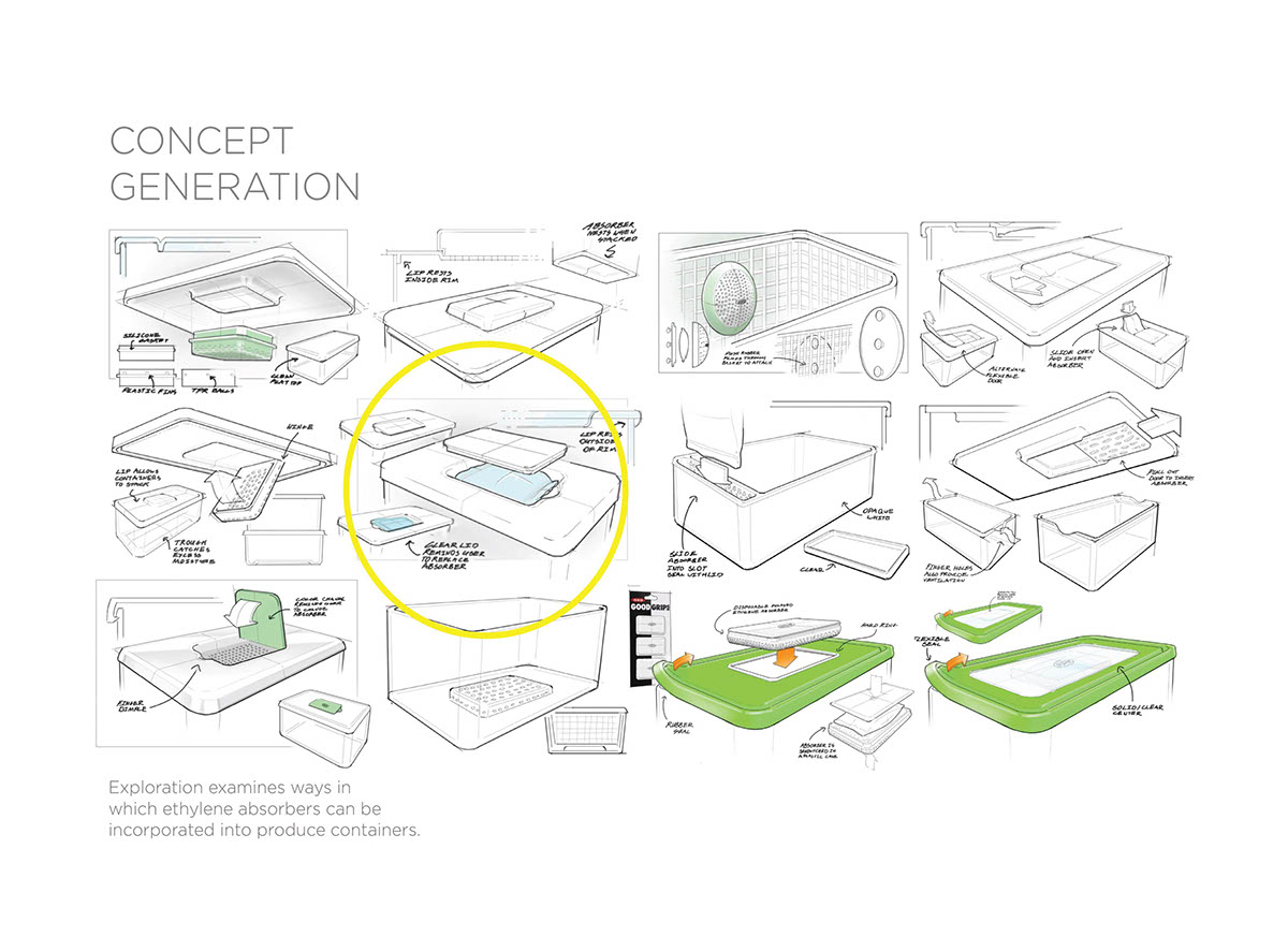 container，food basket，Fruits，Vegetables，