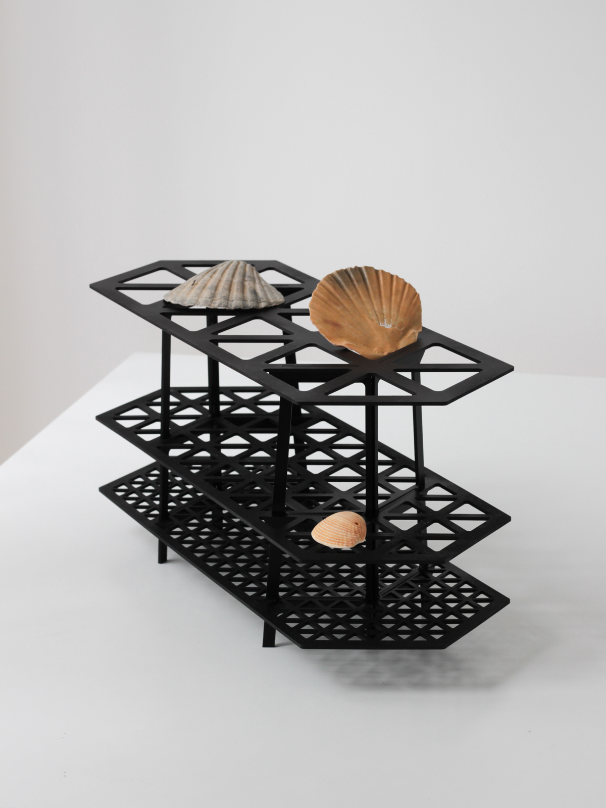 Gridded Shelf，Hayo Gebauer，black，grid，goods shelves，