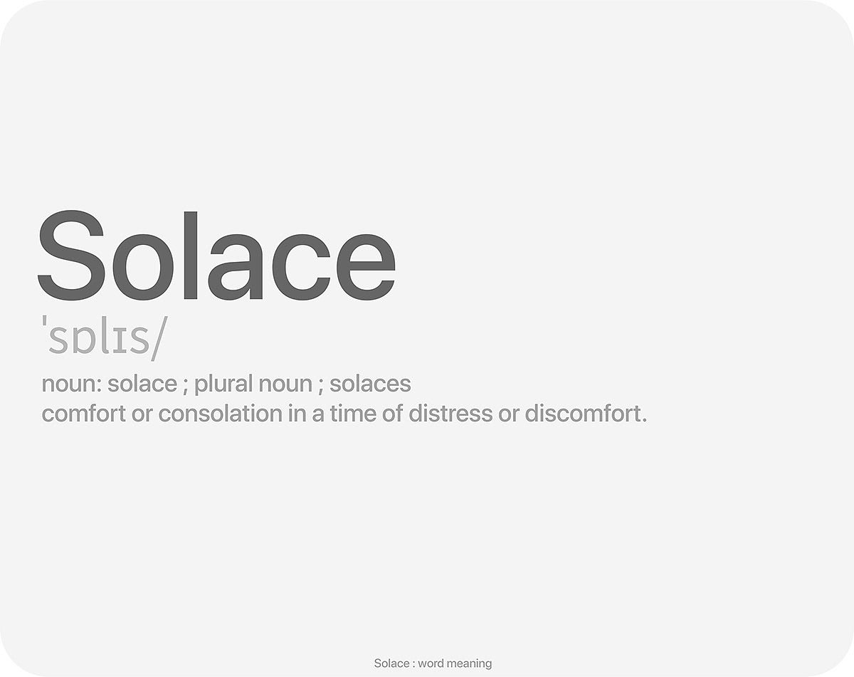 Lunch box，Lunch box，Insulation box，Project Solace，