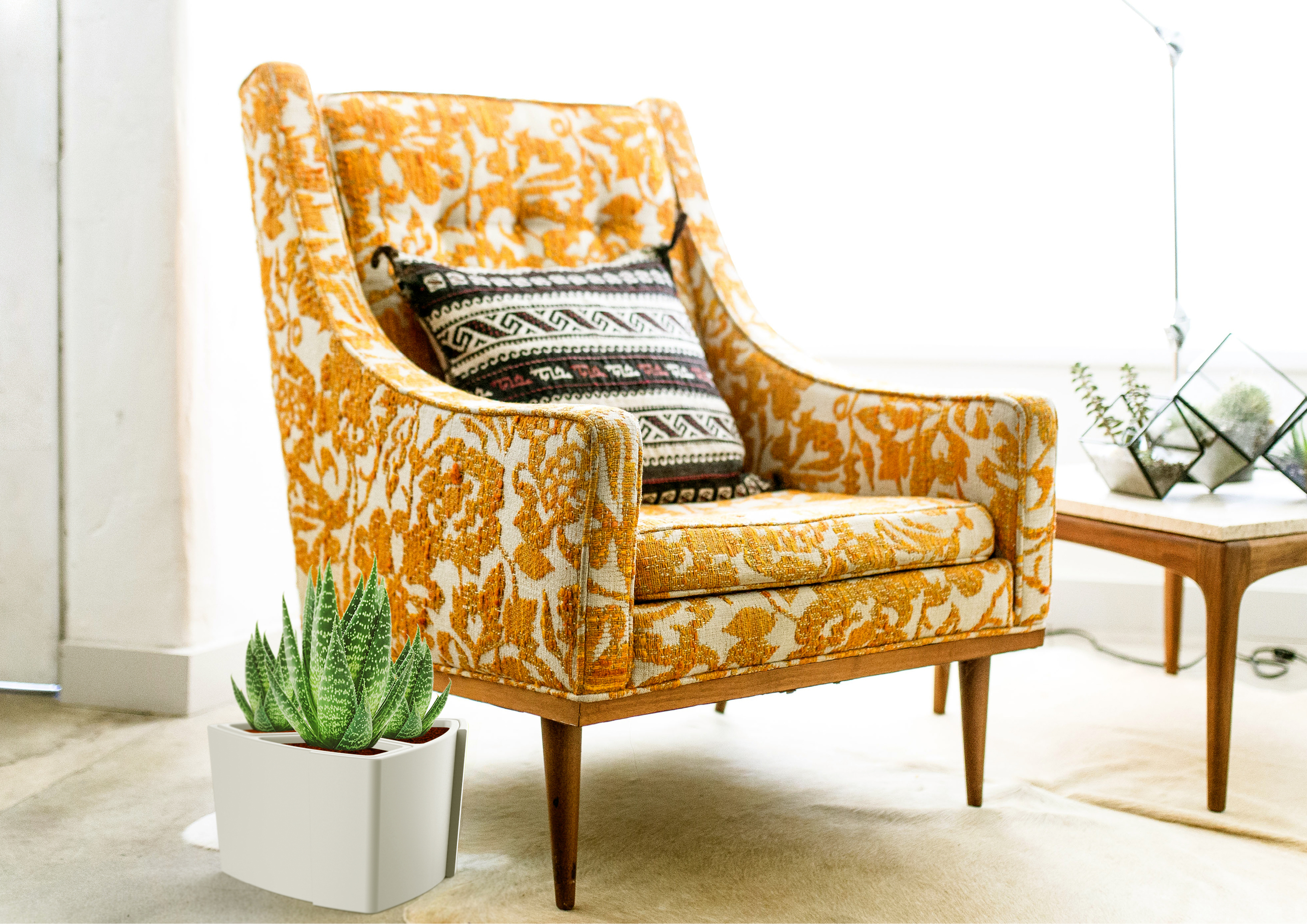 Flowerpot，decorate，modularization，white，Green plant，