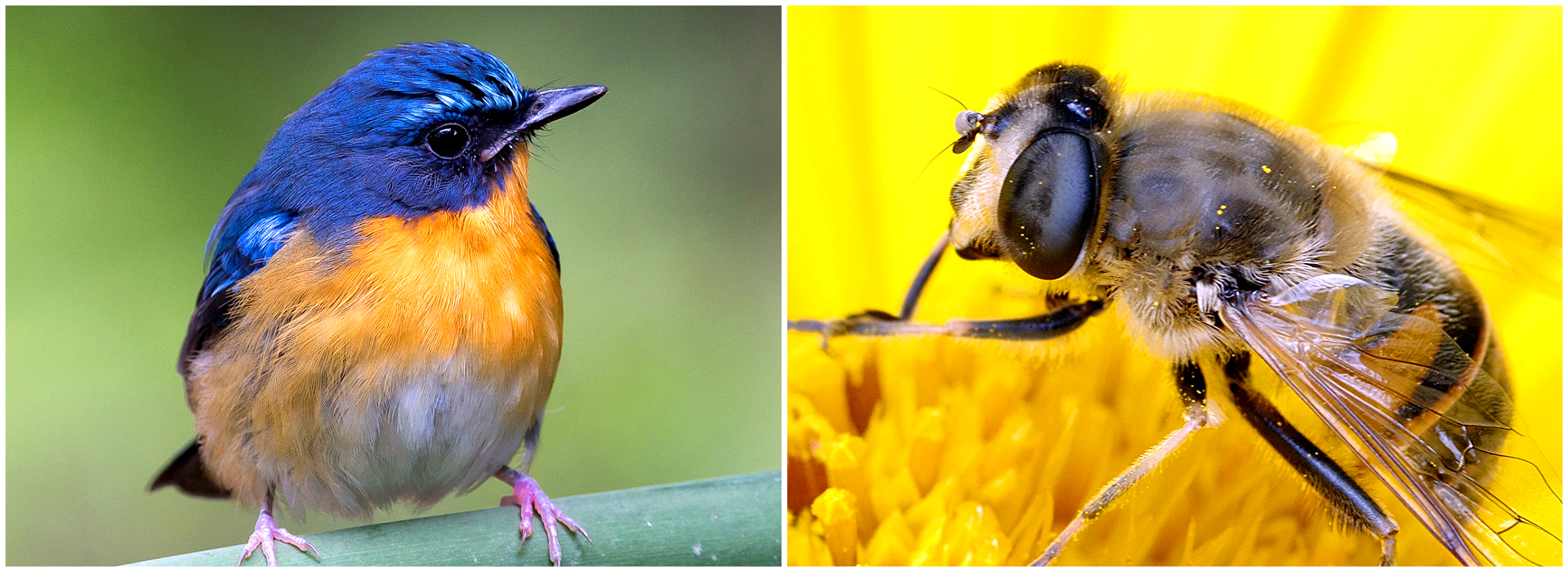 mobile phone，Large battery mobile phone，Full screen mobile phone，Glare phone back cover，Mobile phone details page，E-commerce mobile phone design，face detection ，