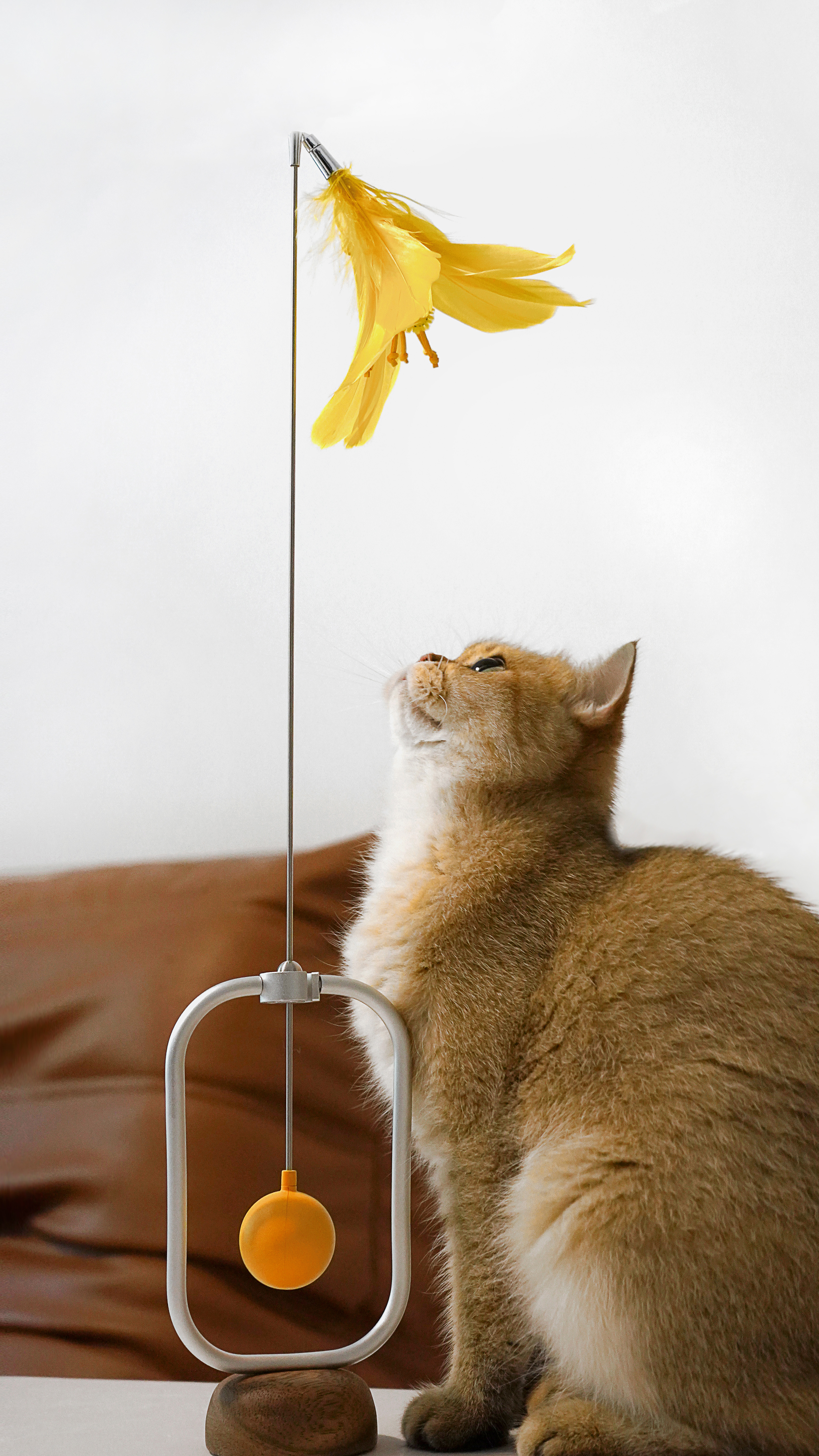 product design，leisure time，