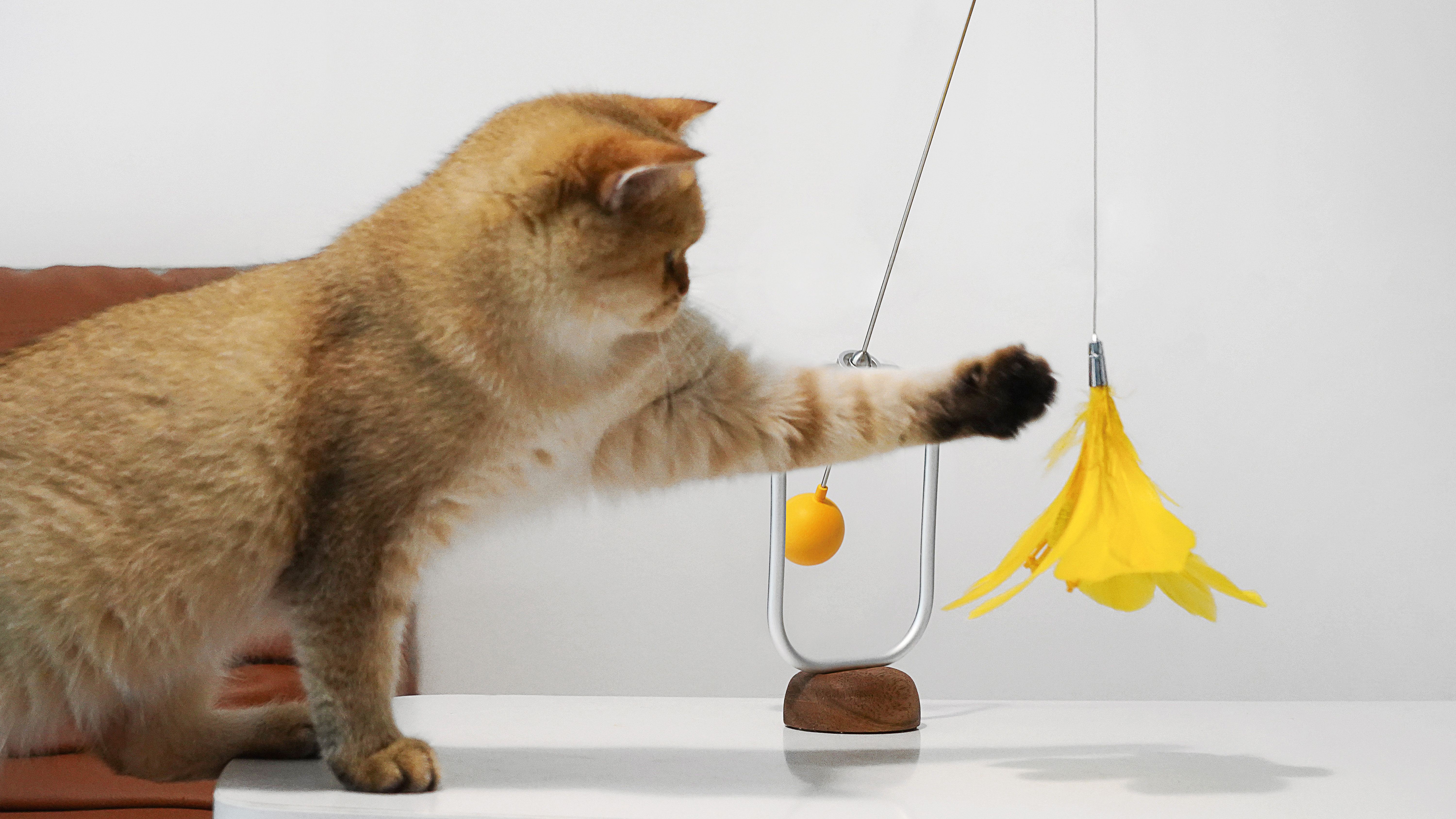 product design，leisure time，