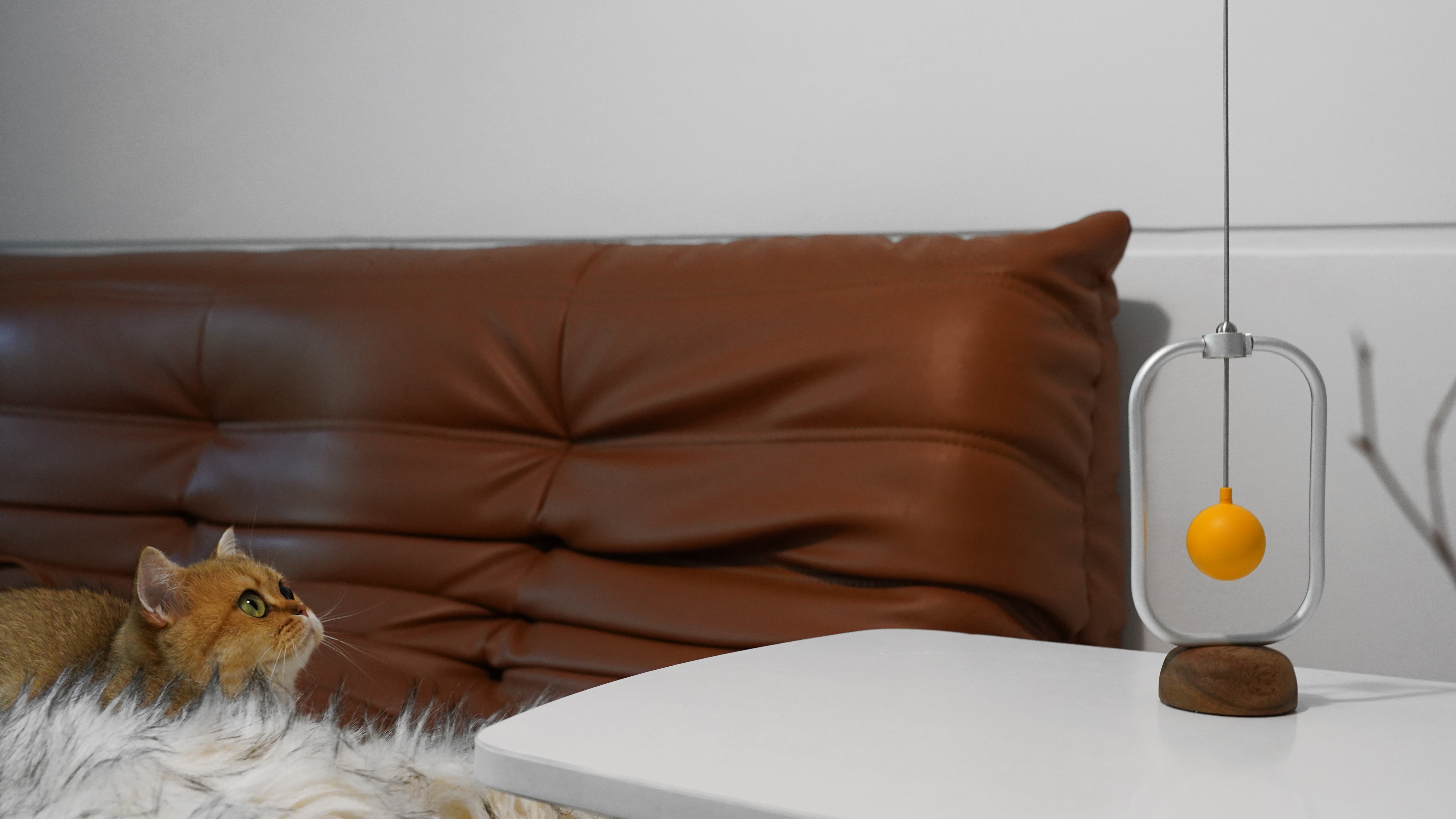 product design，leisure time，