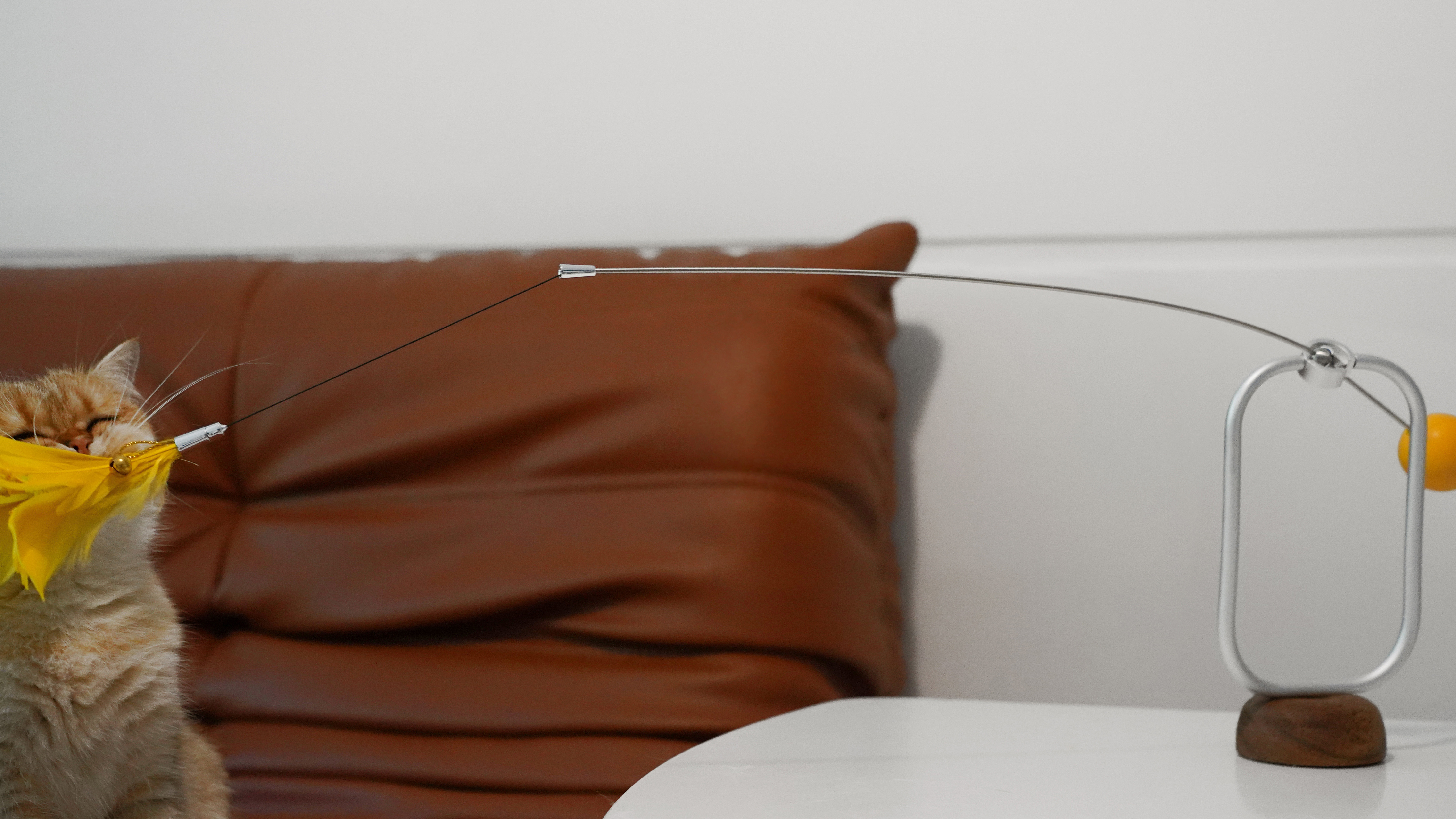 product design，leisure time，