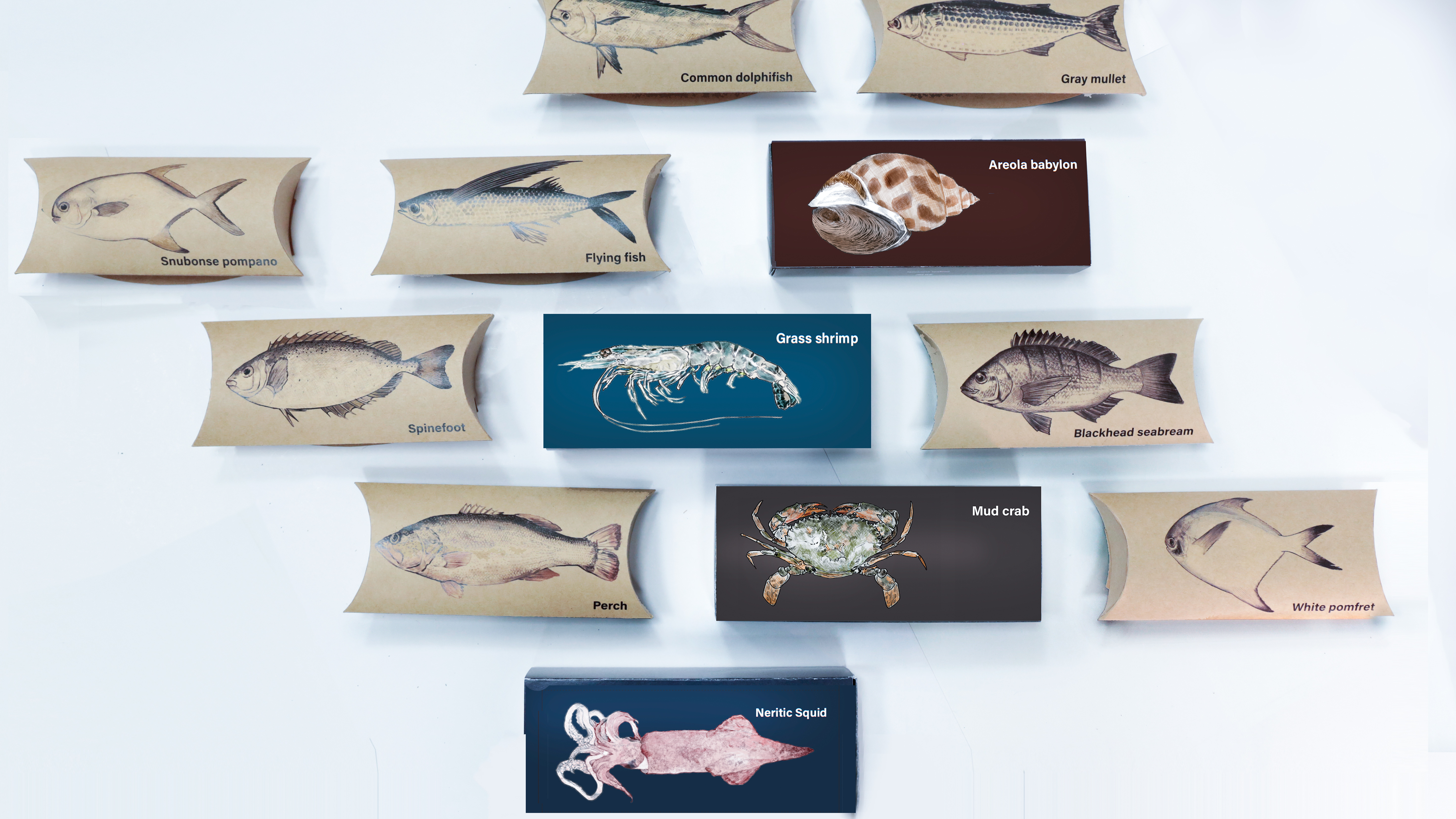 packing design，Consumer products，