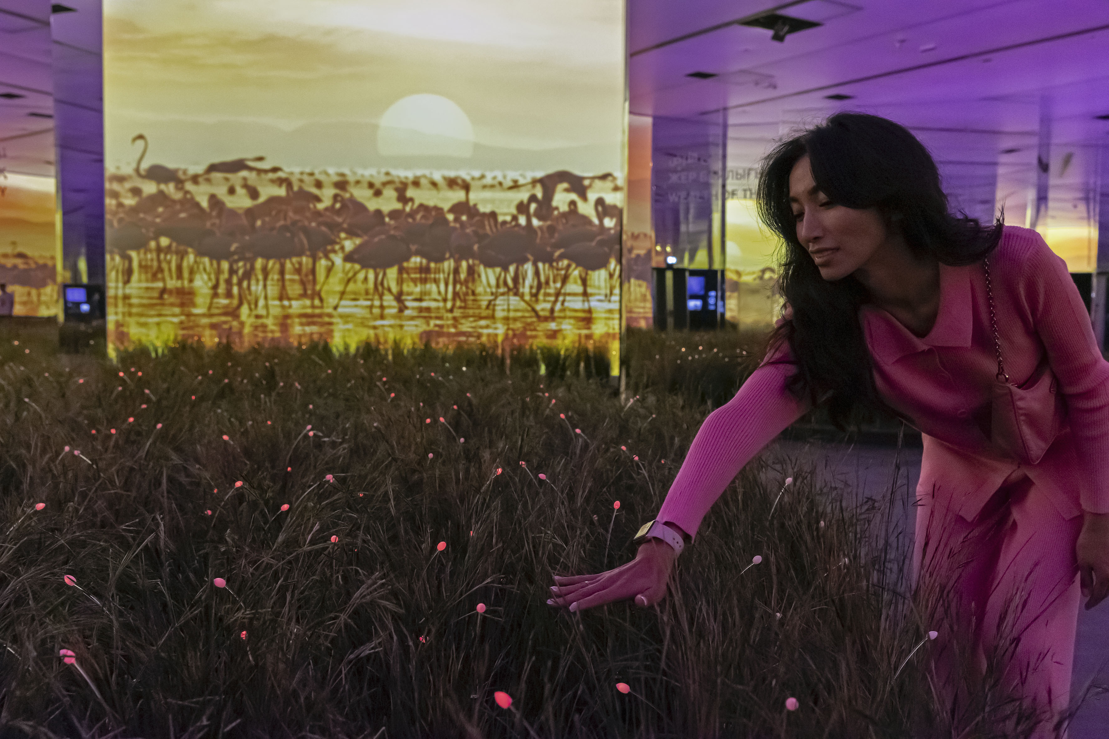 Insglück Gesellschaft Für Markeninszenierung Mbh