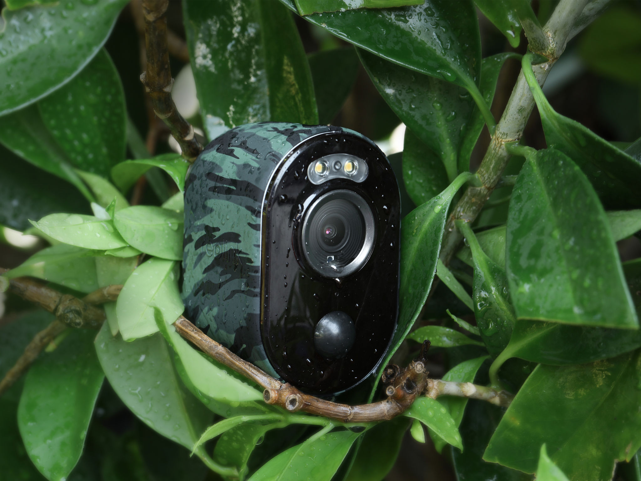 Red dot award，If Award，camera，Award declaration，