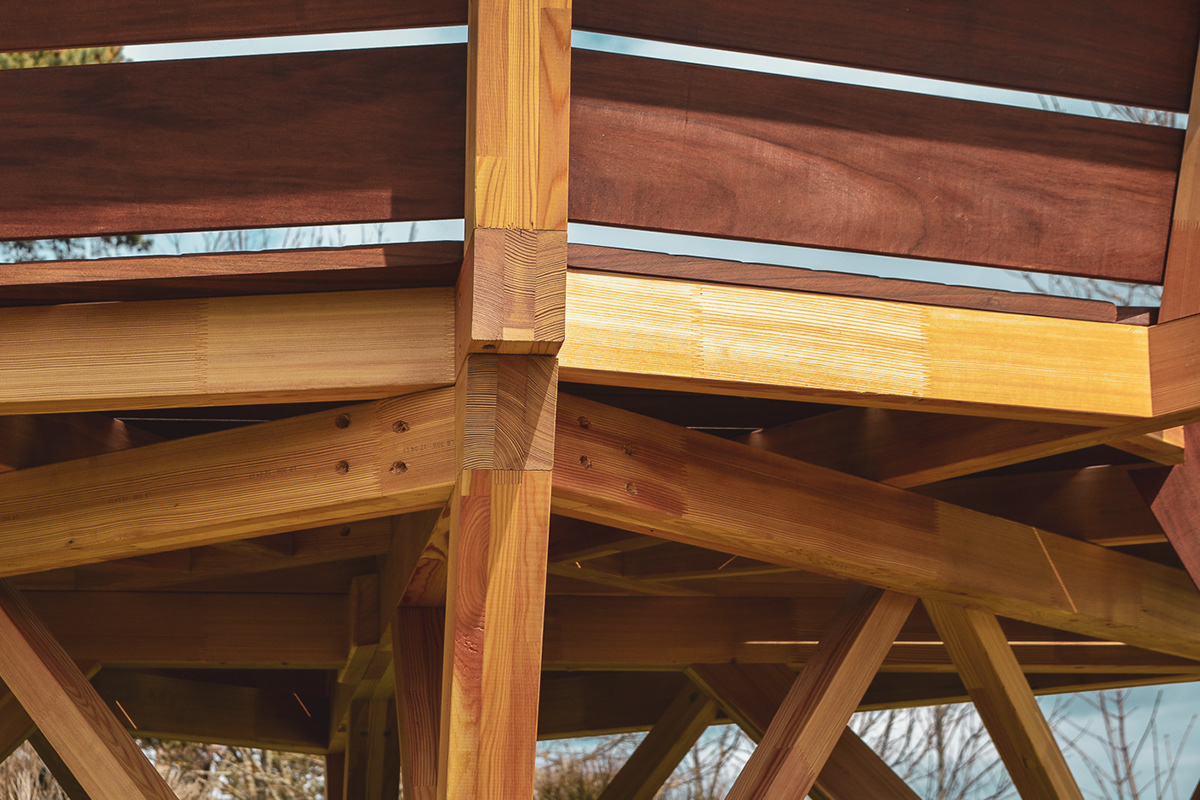 outdoors，Micro architecture，wood，corbeau，