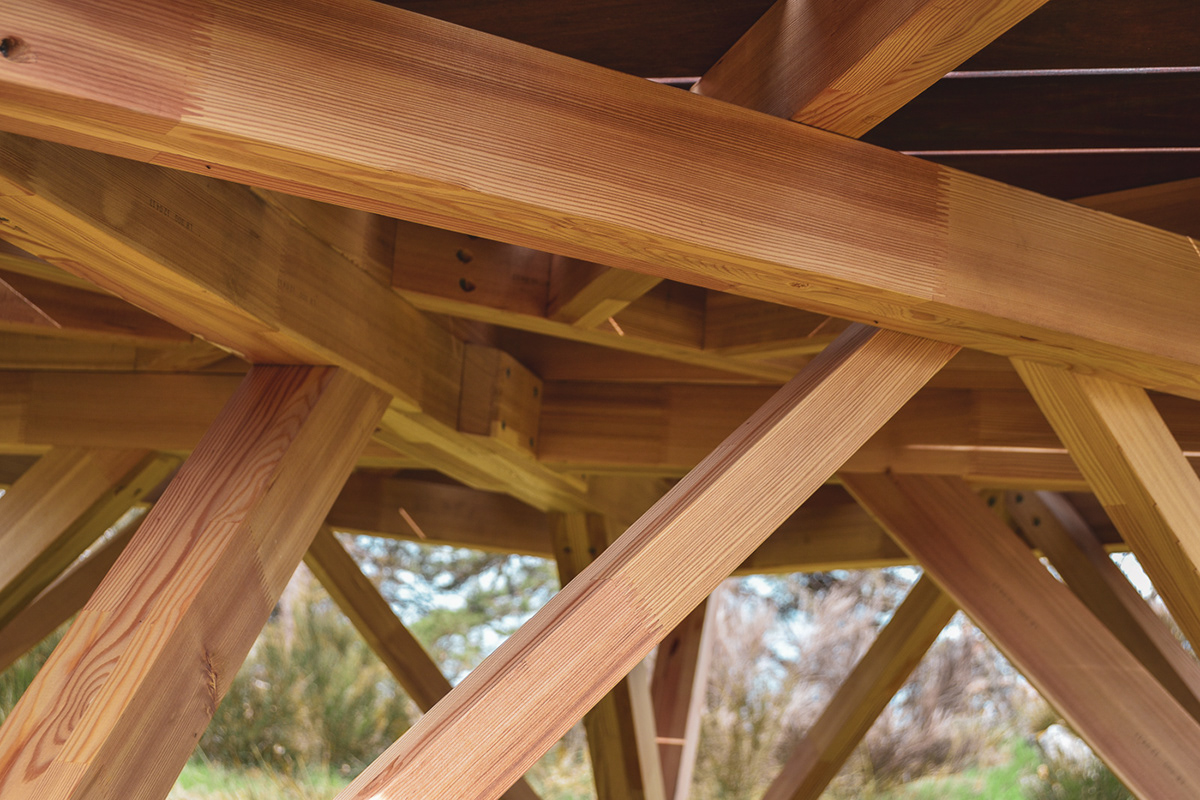 outdoors，Micro architecture，wood，corbeau，