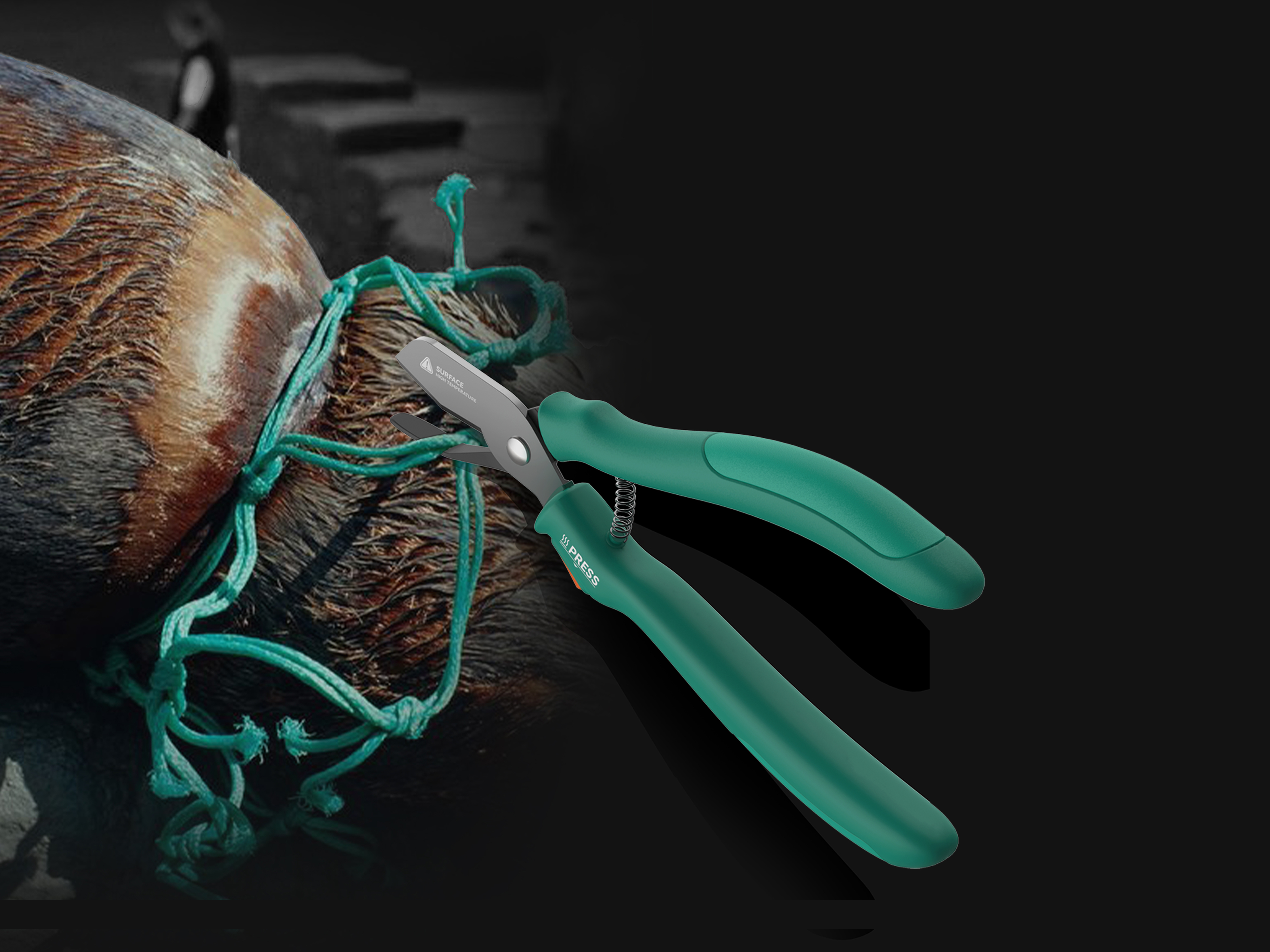 Professional concept，Product concept，