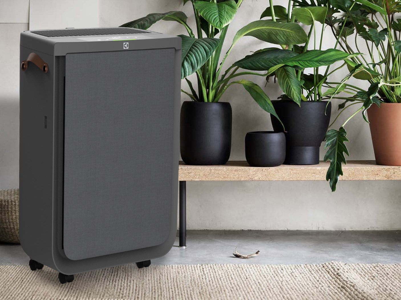 product design，Home/tableware，