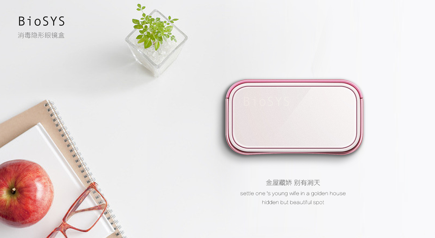 glasses case，