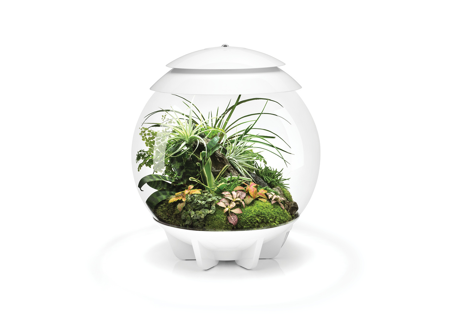 product design，Furniture/Home Decoration，