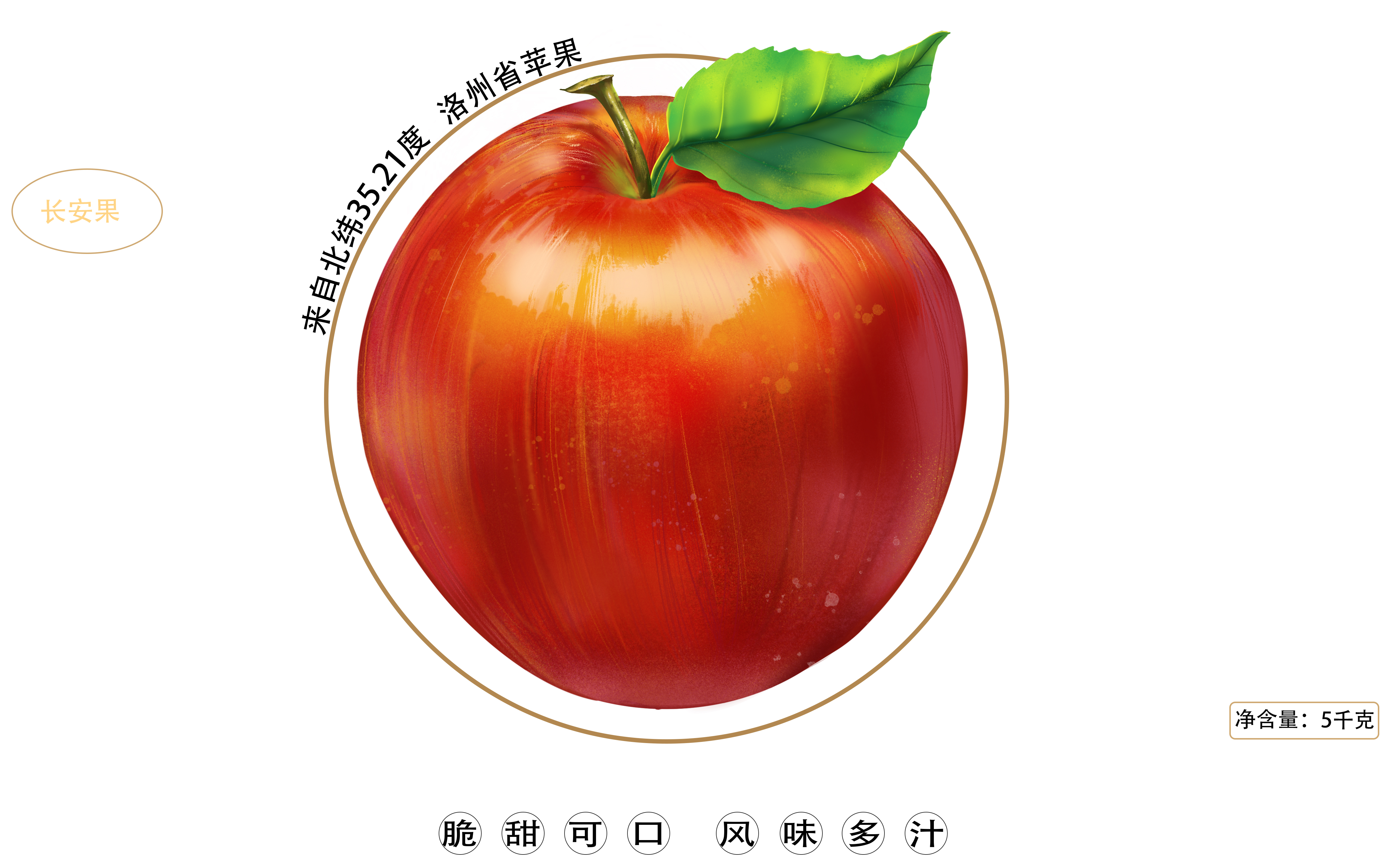 Professional fruit packaging design，