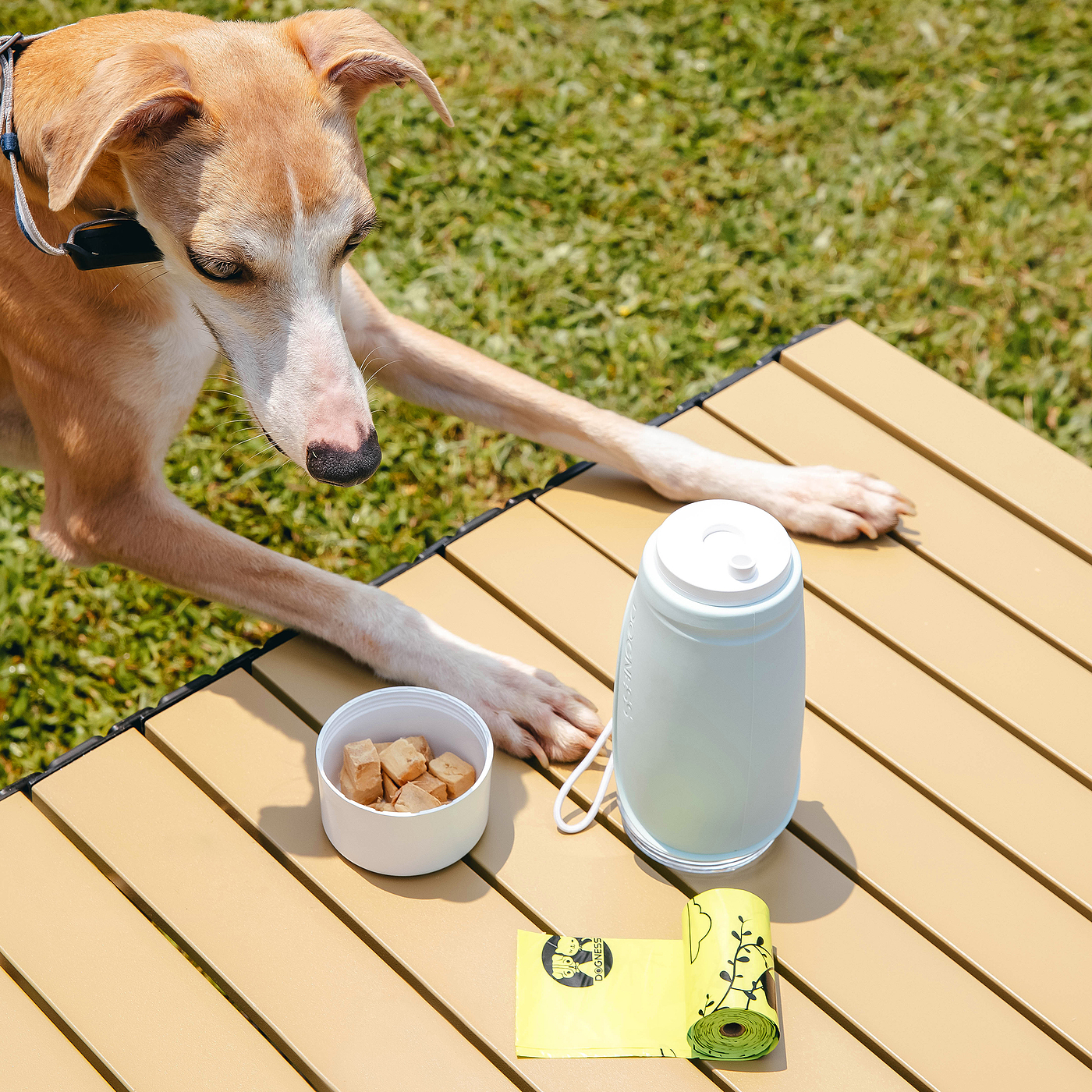 Pet multi-functional accompanying cup，Convenient cleaning，One key leak proof，Can be stored in water can be stored，Silicone folding sink，Turn over and drink，