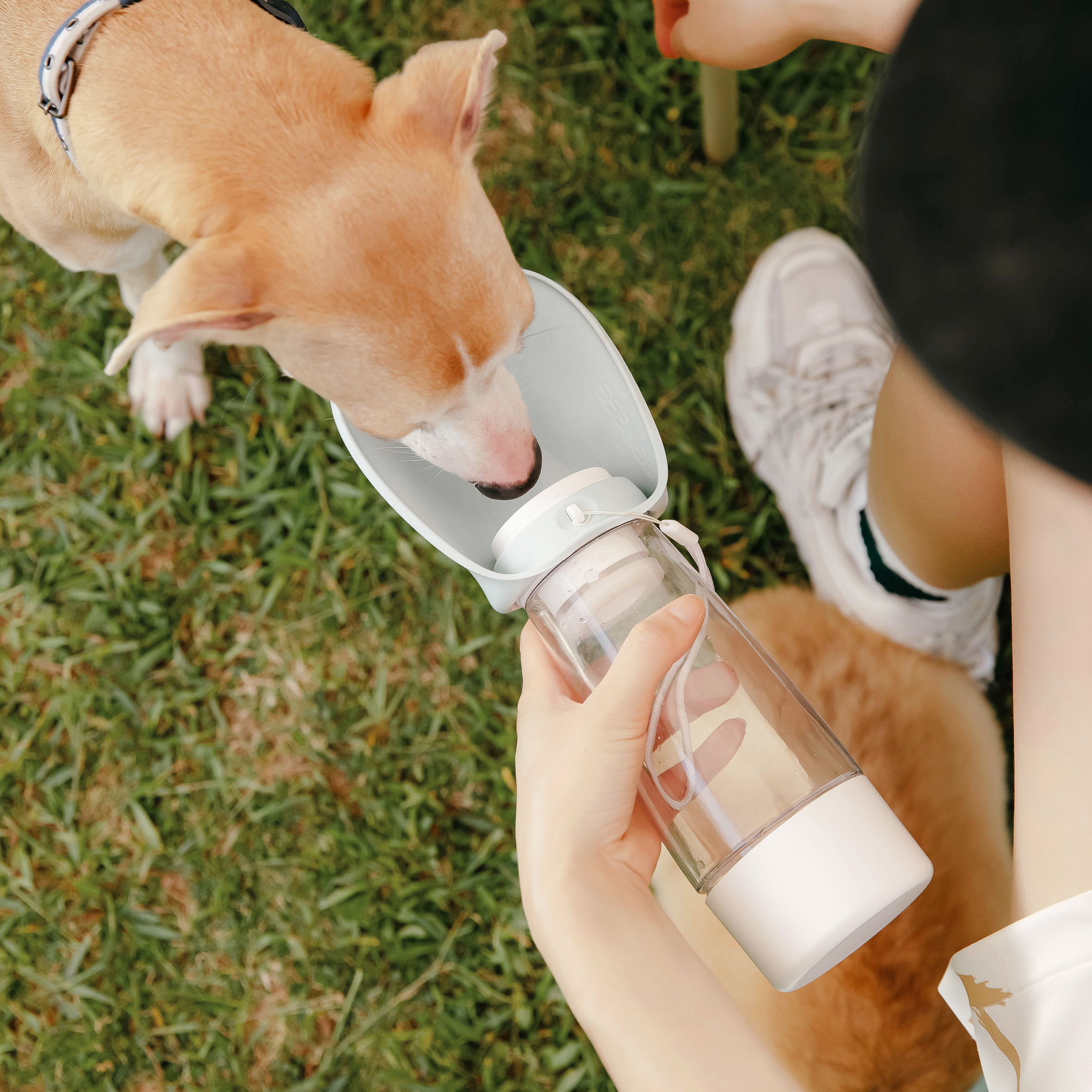 Pet multi-functional accompanying cup，Convenient cleaning，One key leak proof，Can be stored in water can be stored，Silicone folding sink，Turn over and drink，